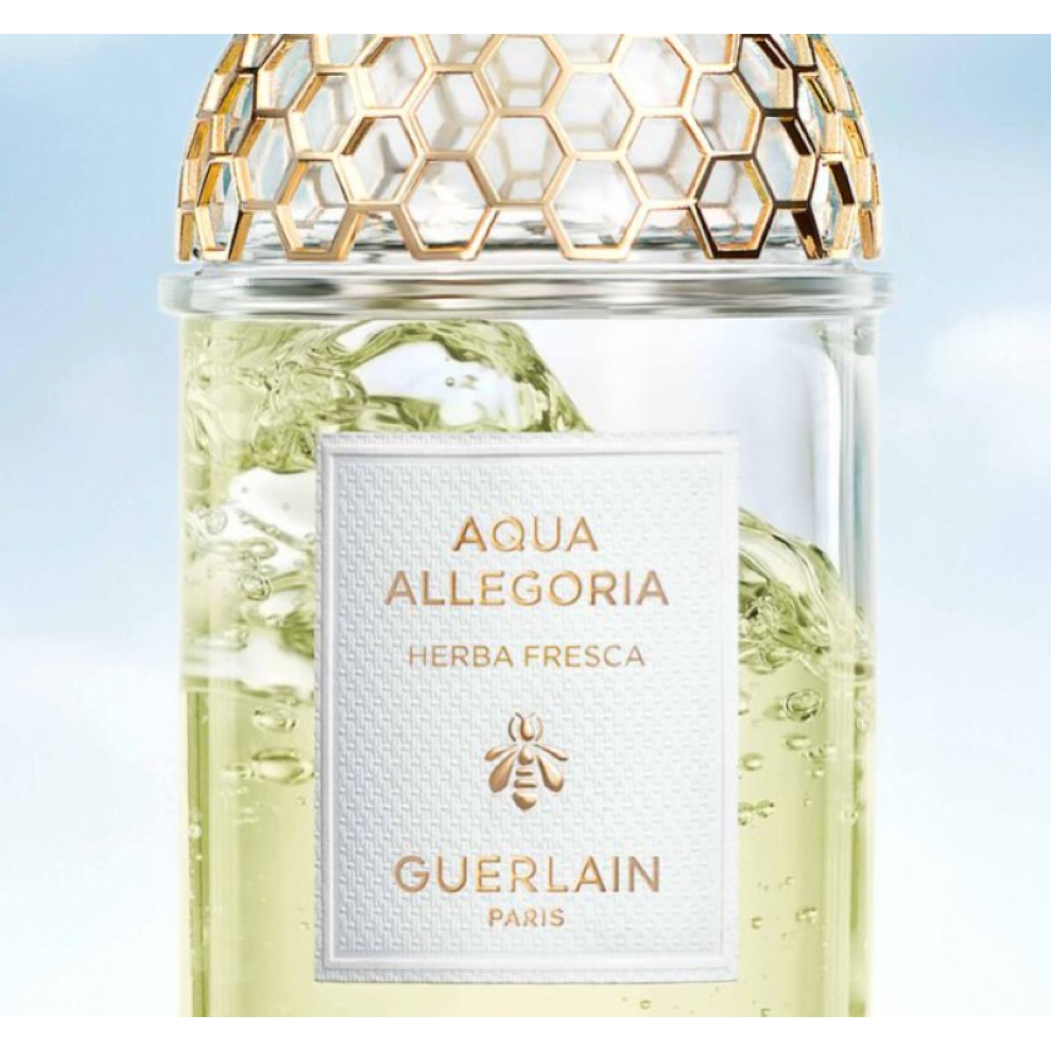 AQUA ALLEGORIA HERBA FRESCA EAU DE TOILETTE REFILL 3