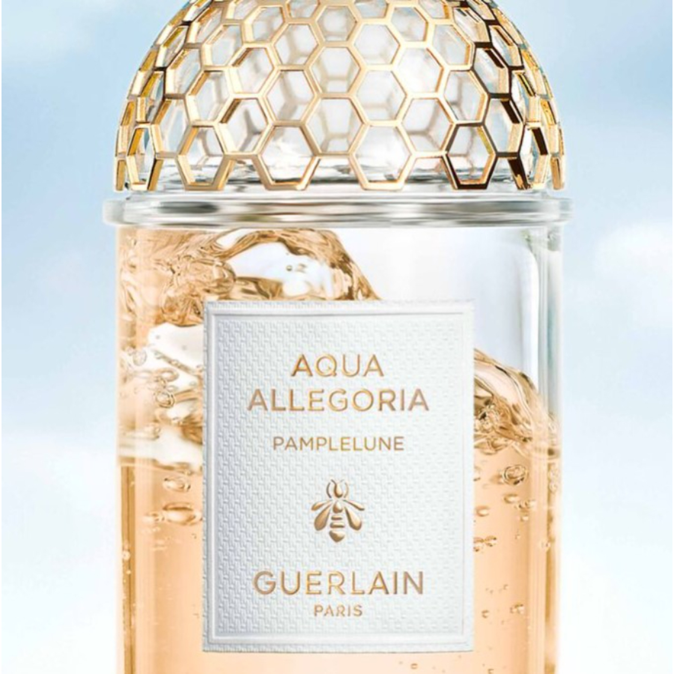 AQUA ALLEGORIA PAMPLELUNE EAU DE TOILETTE REFILL 3