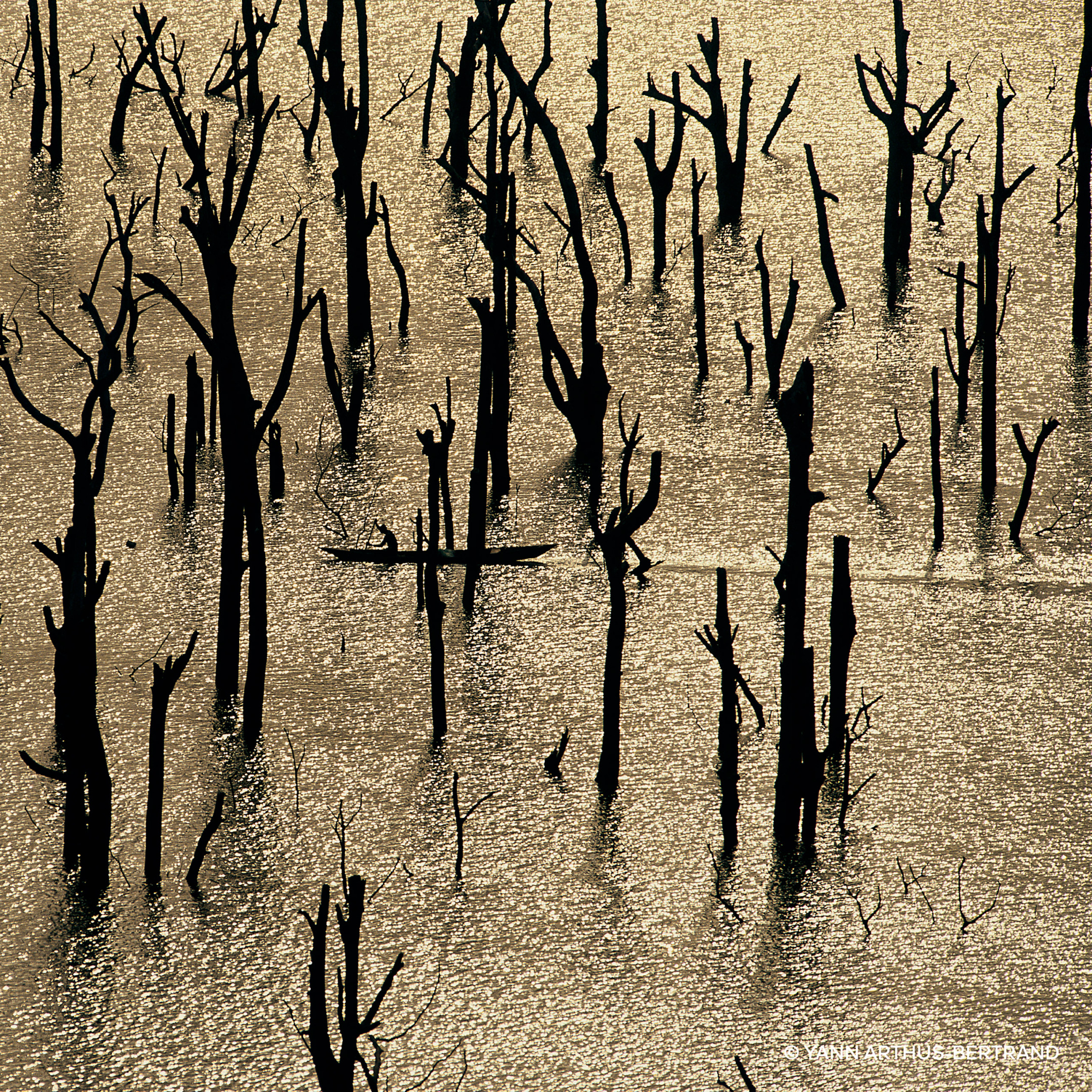 AQUA ALLEGORIA FORTE ROSA ROSSA EAU DE PARFUM 4