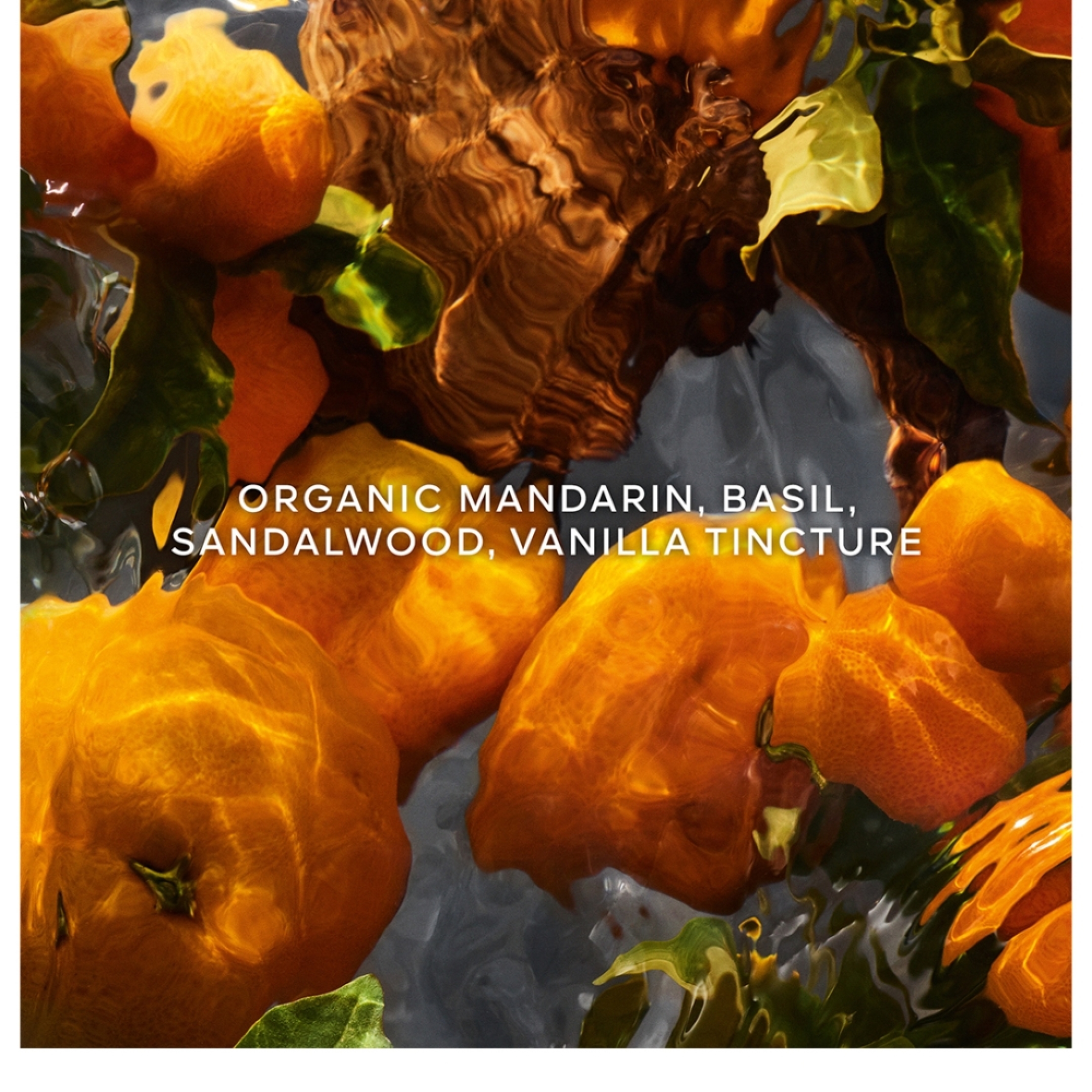 AQUA ALLEGORIA FORTE MANDARINE BASILIC EAU DE PARFUM REFILL 3