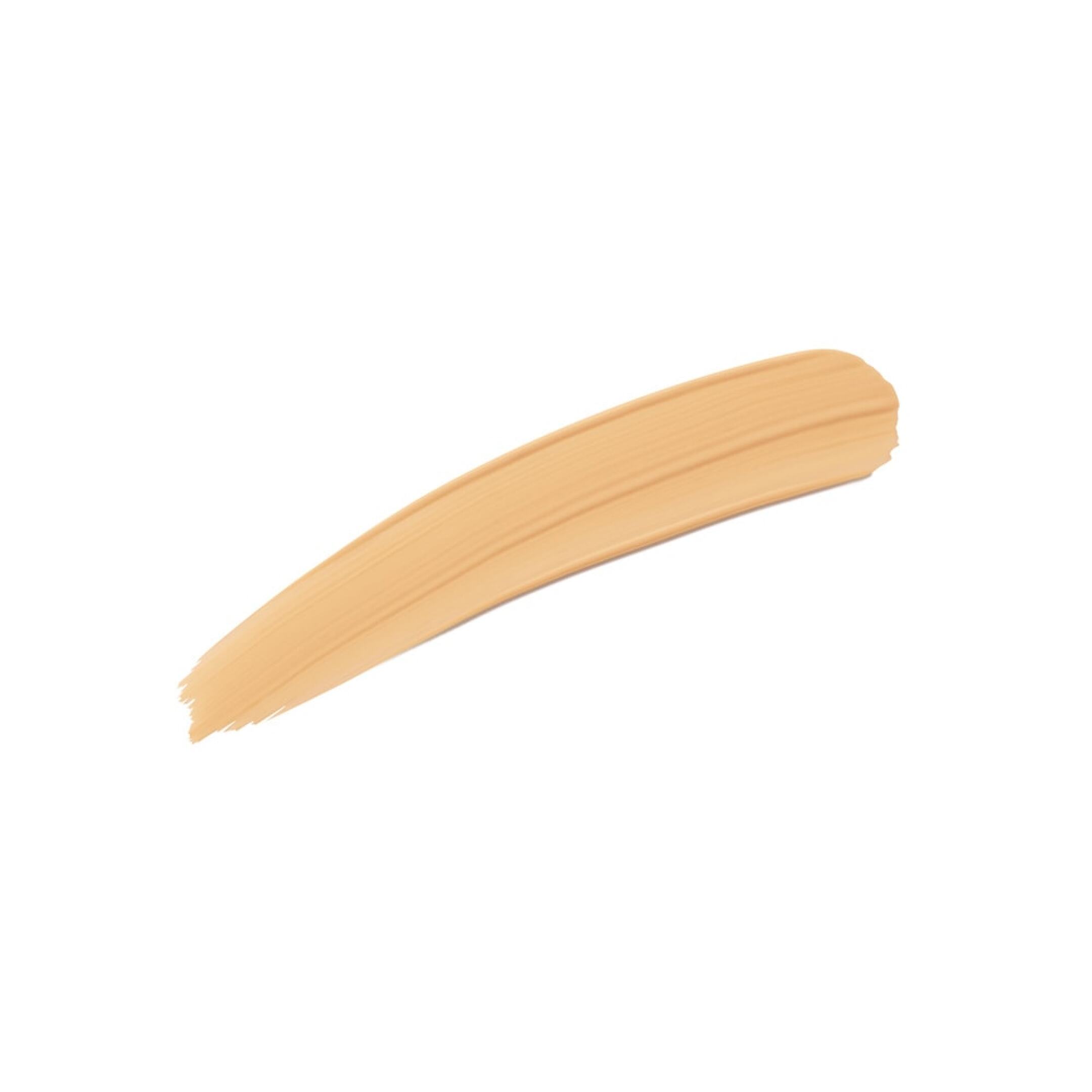 PRECIOUS LIGHT CONCEALER 1