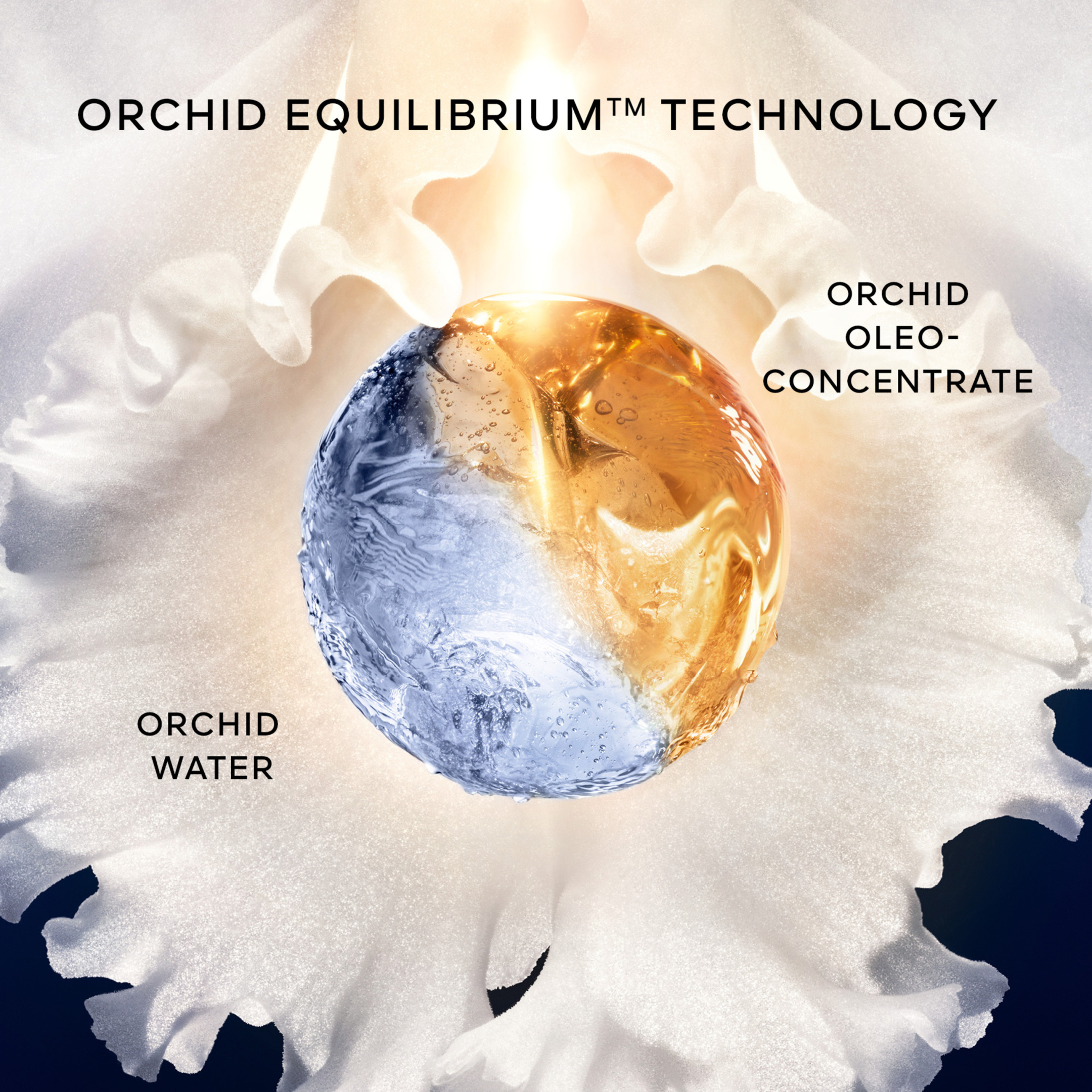 ORCHIDÉE IMPÉRIALE THE FOAM IN CREAM 150ml 3