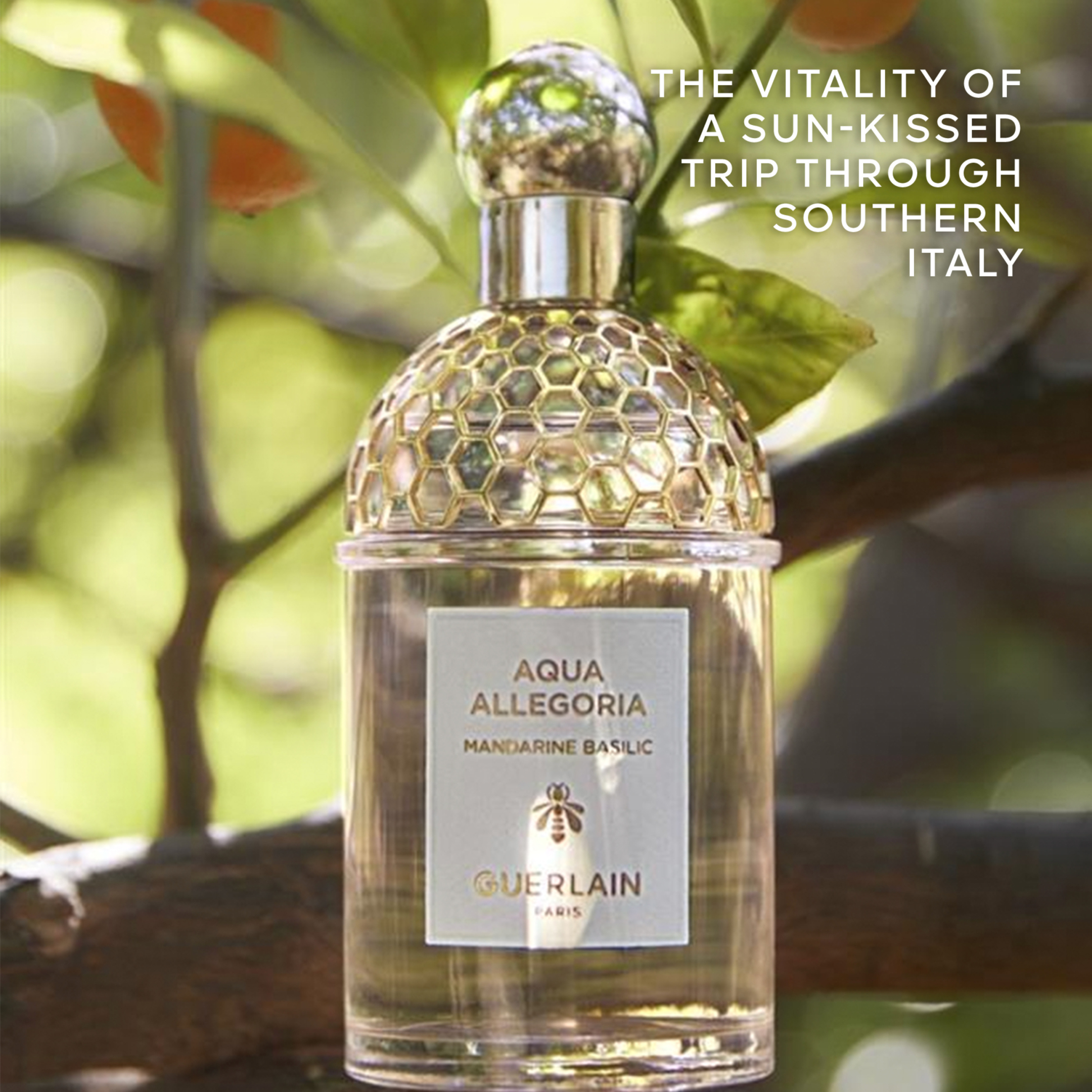 AQUA ALLEGORIA MANDARINE BASILIC  EAU DE TOILETTE  4