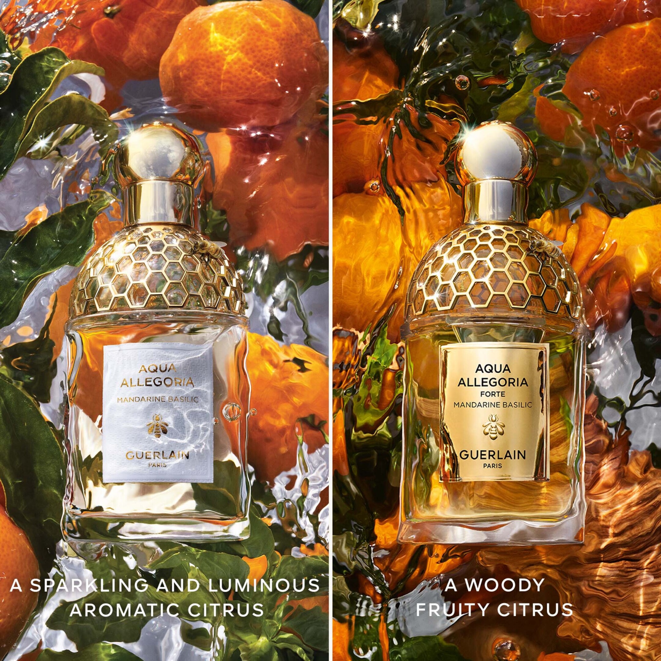 AQUA ALLEGORIA MANDARINE BASILIC  EAU DE TOILETTE  5