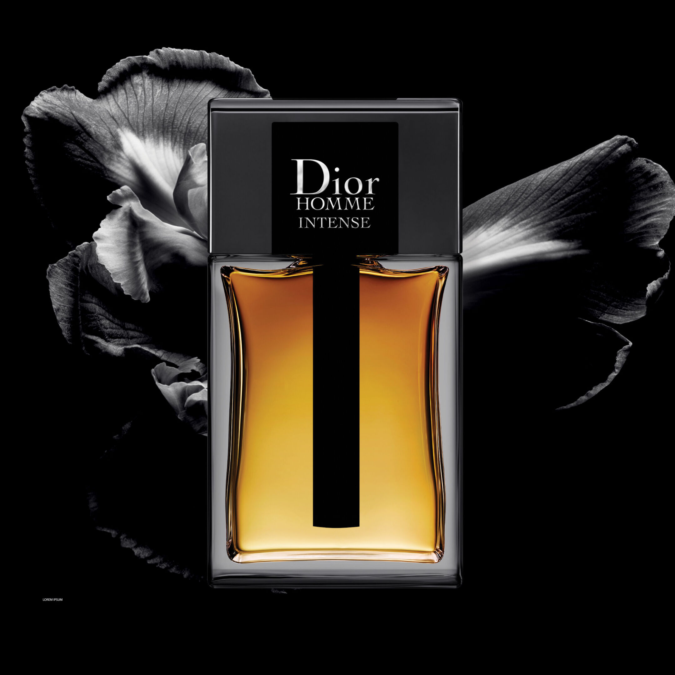 DIOR HOMME INTENSE EAU DE PARFUM  2
