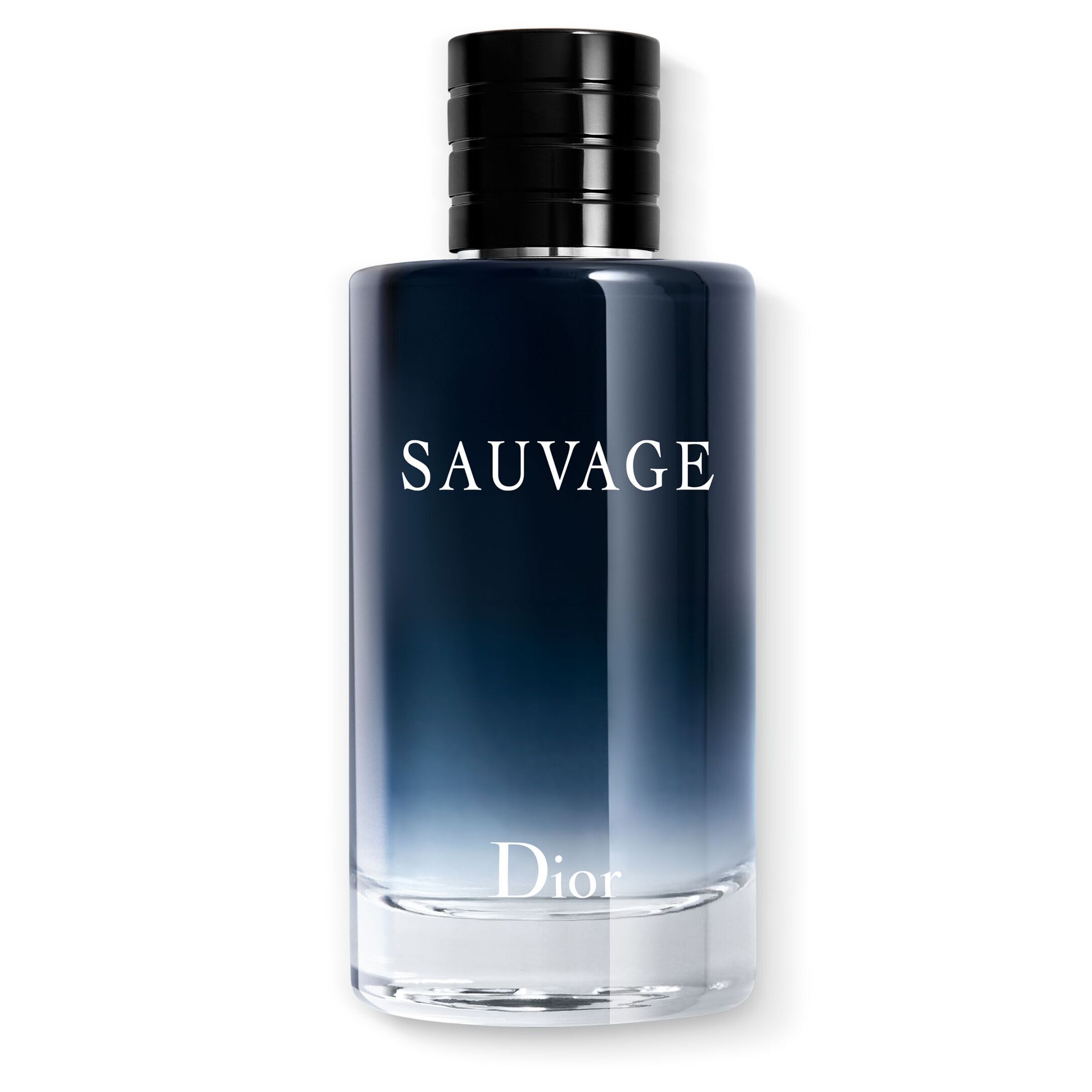 SAUVAGE EAU DE TOILETTE  2