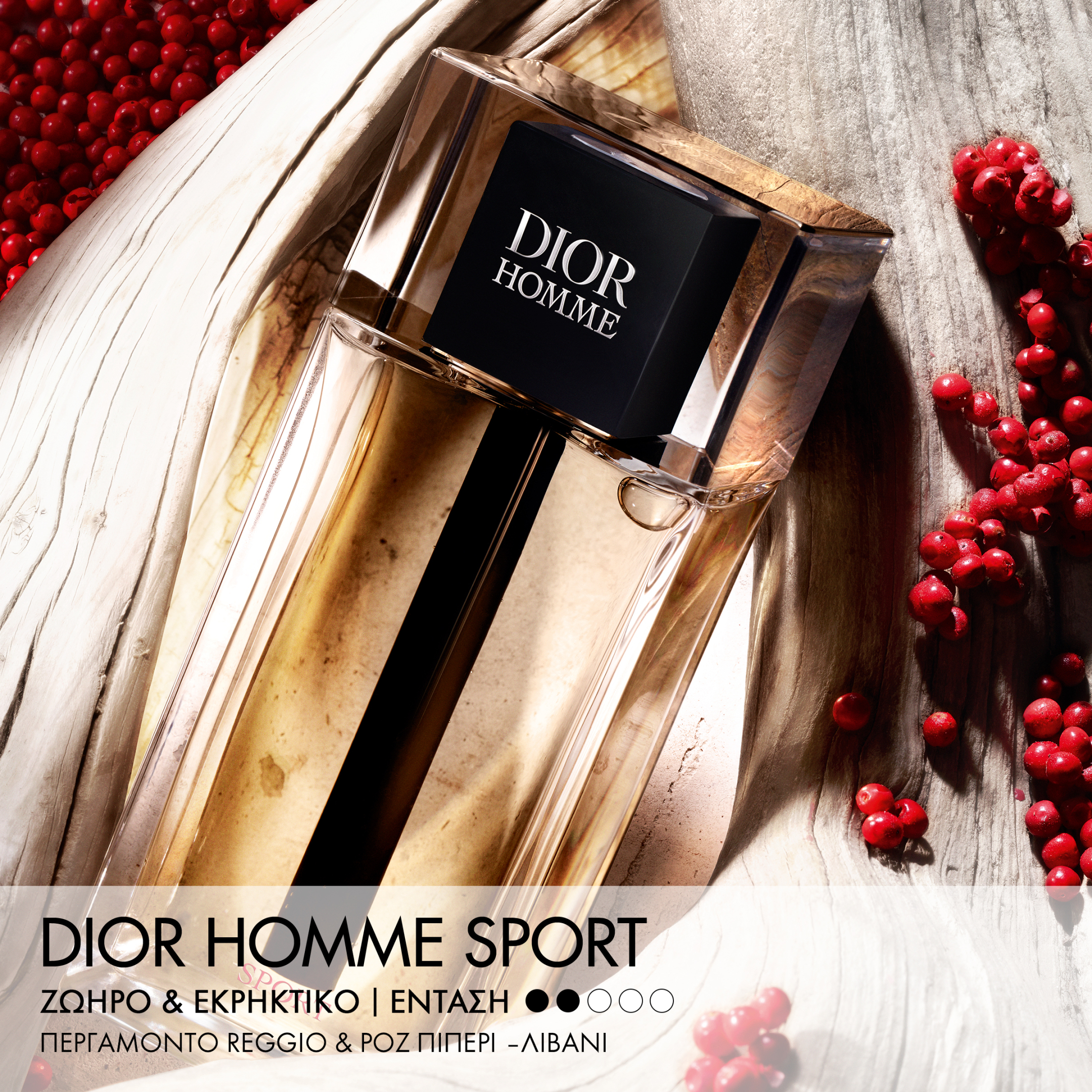 DIOR HOMME SPORT EAU DE TOILETTE FOR MEN 2