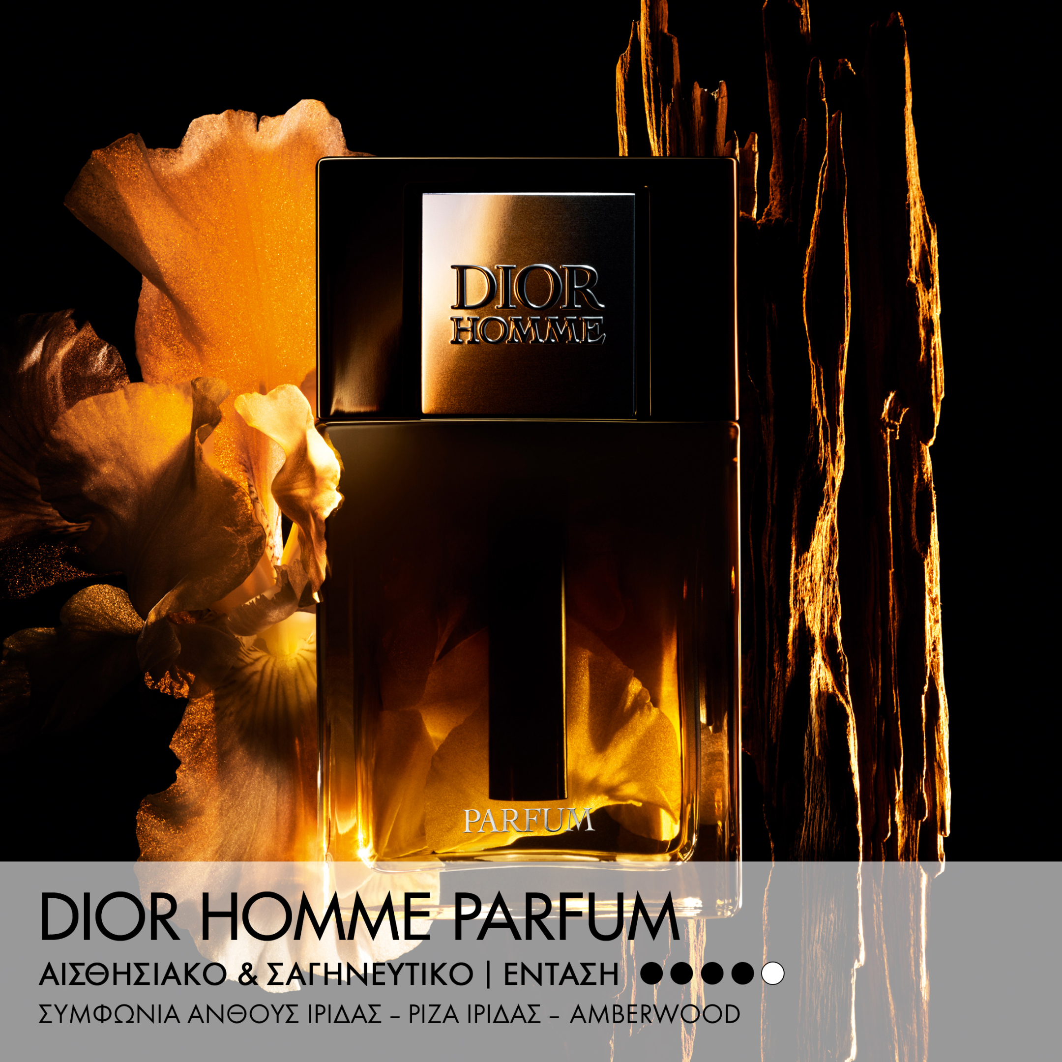 DIOR HOMME PARFUM FRAGRANCE - AMBERY, WOODY AND FLORAL NOTES 2
