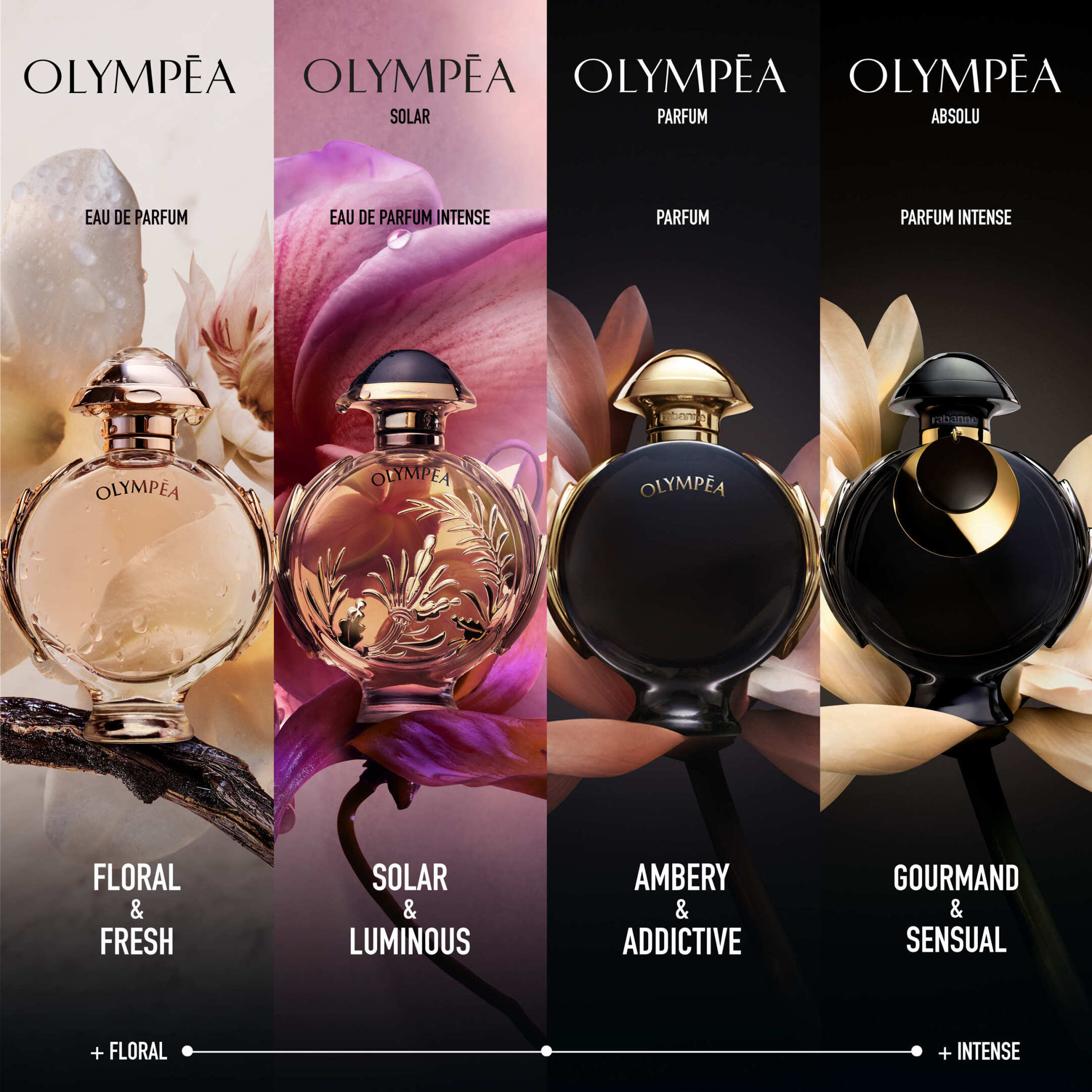 OLYMPEA ABSOLU PARFUM 3