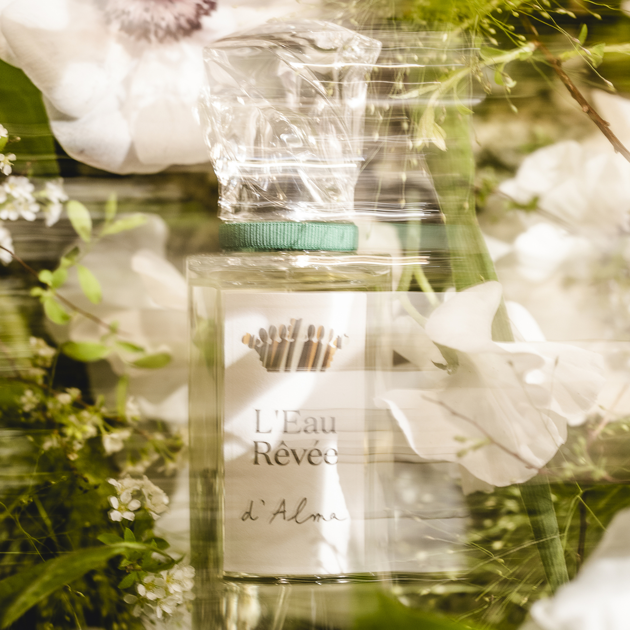 L'EAU RÊVÉE D'ALMA 2