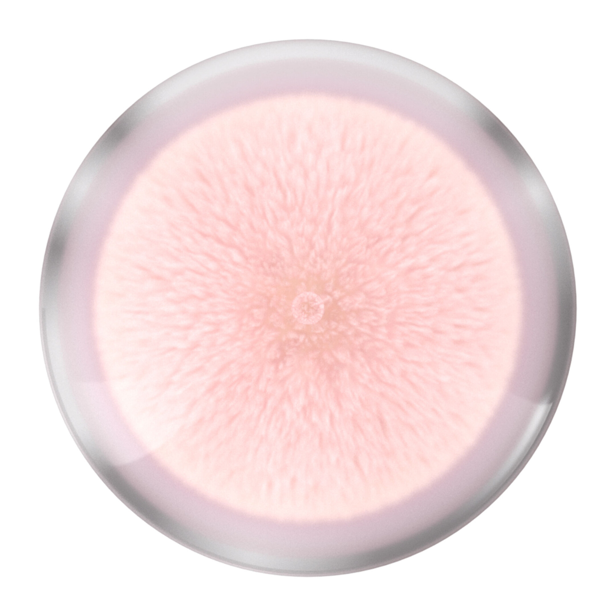 INSTANT PERFECTOR 4-IN-1 GLOW MAKEUP 1