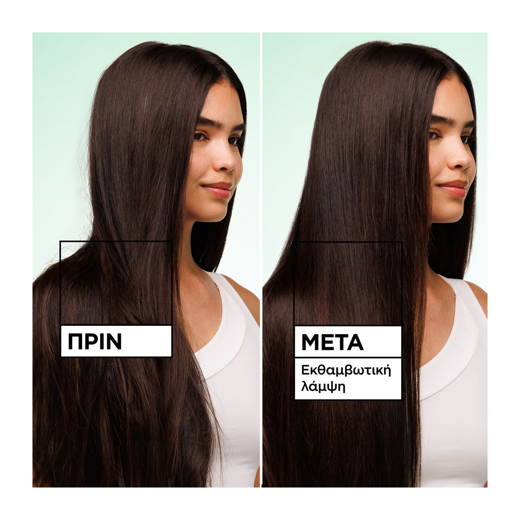 FRUCTIS DIAMOND SLEEK SHINE-COAT SMOOTHING SPRAY  5