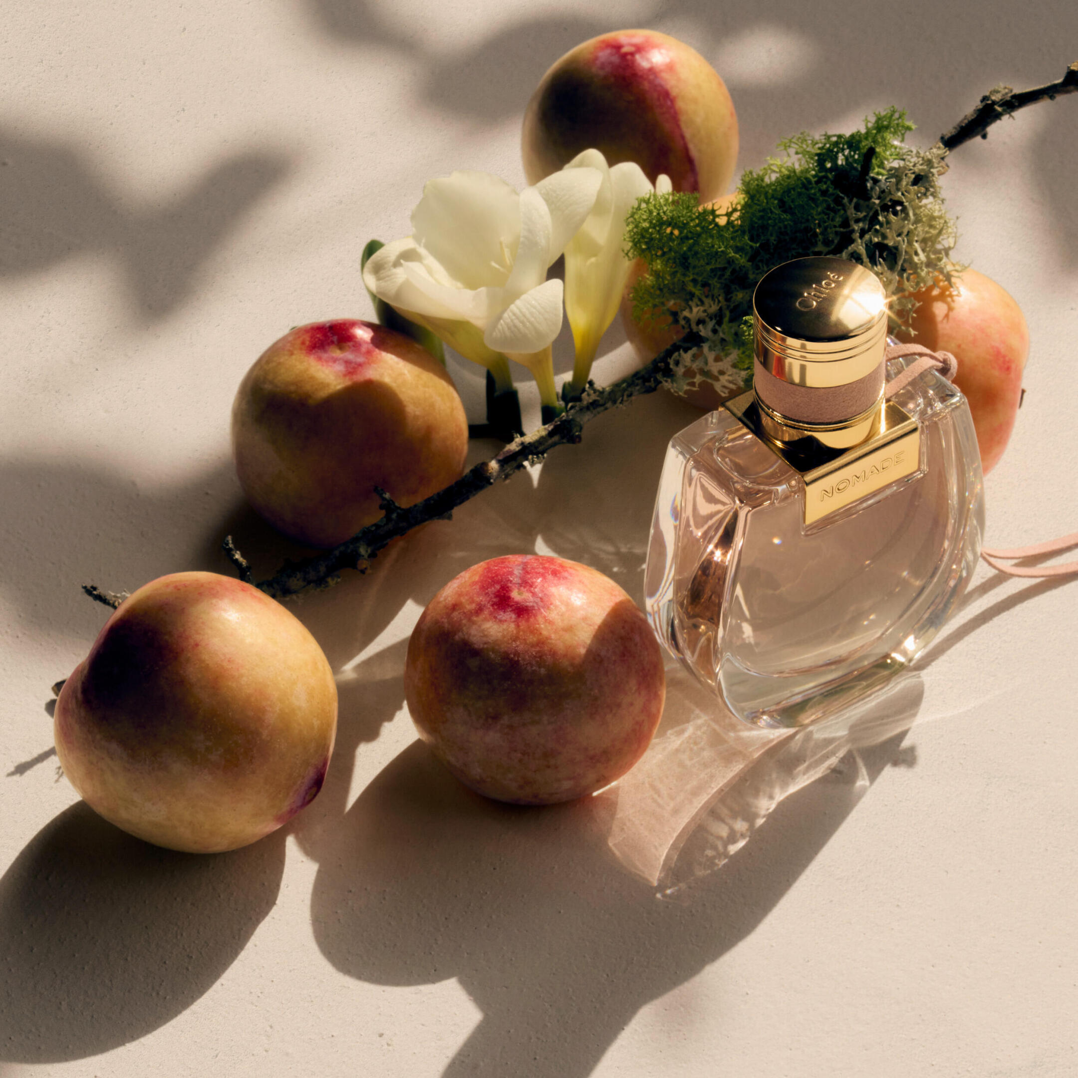 CHLOÉ NOMADE EAU DE PARFUM  2