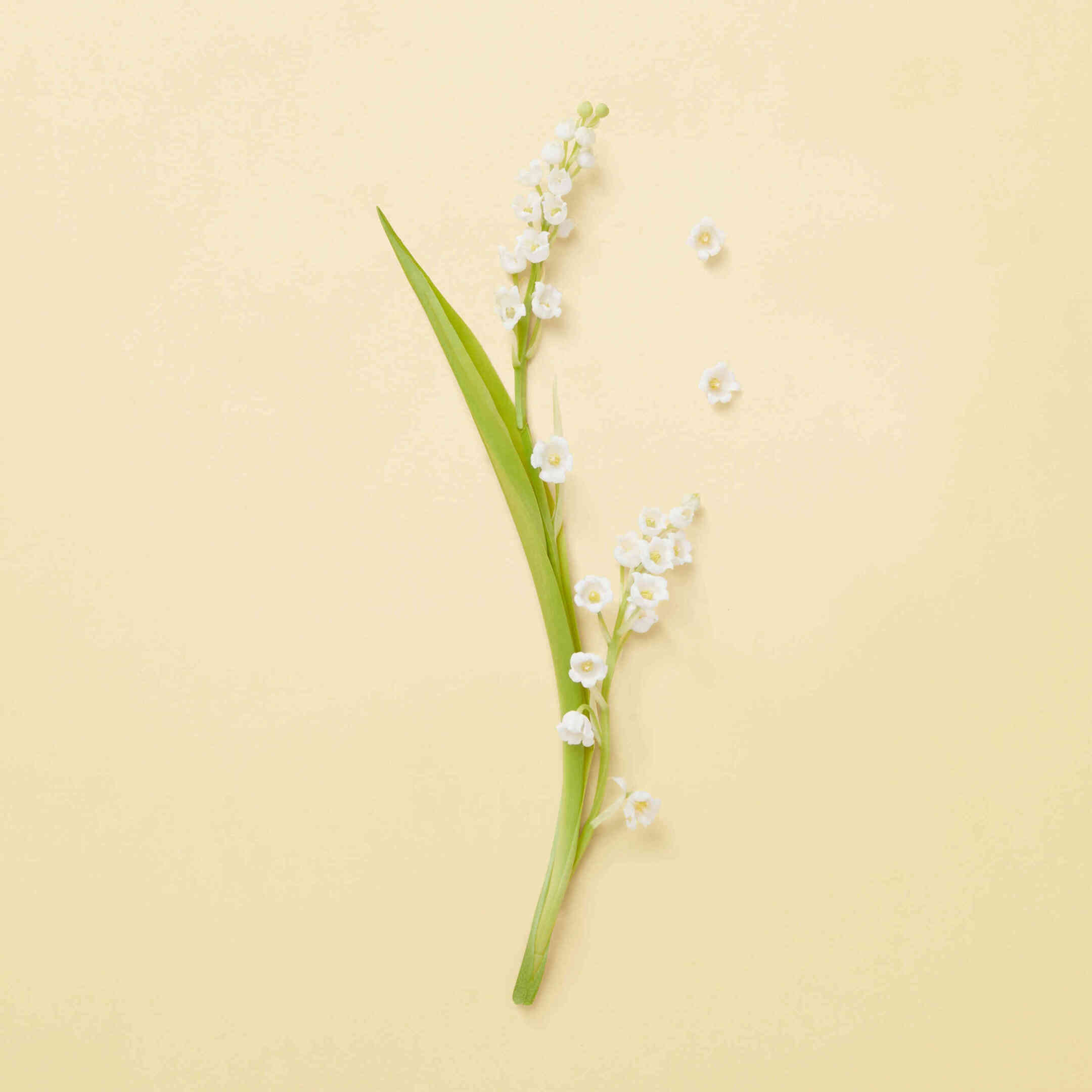 THE ALCHEMIST'S GARDEN TEARS FROM THE MOON EAU DE PARFUM 3