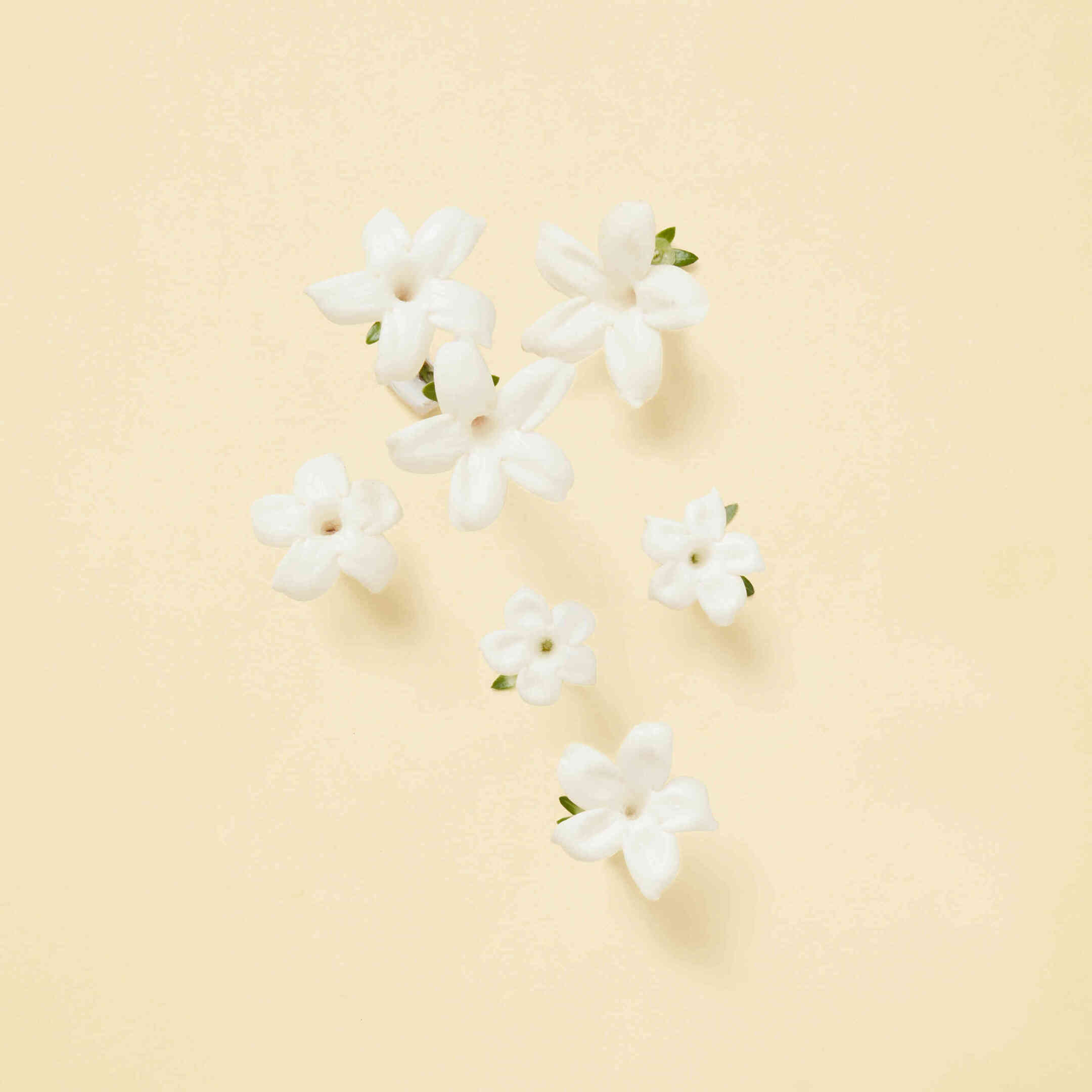 THE ALCHEMIST'S GARDEN TEARS FROM THE MOON EAU DE PARFUM 5