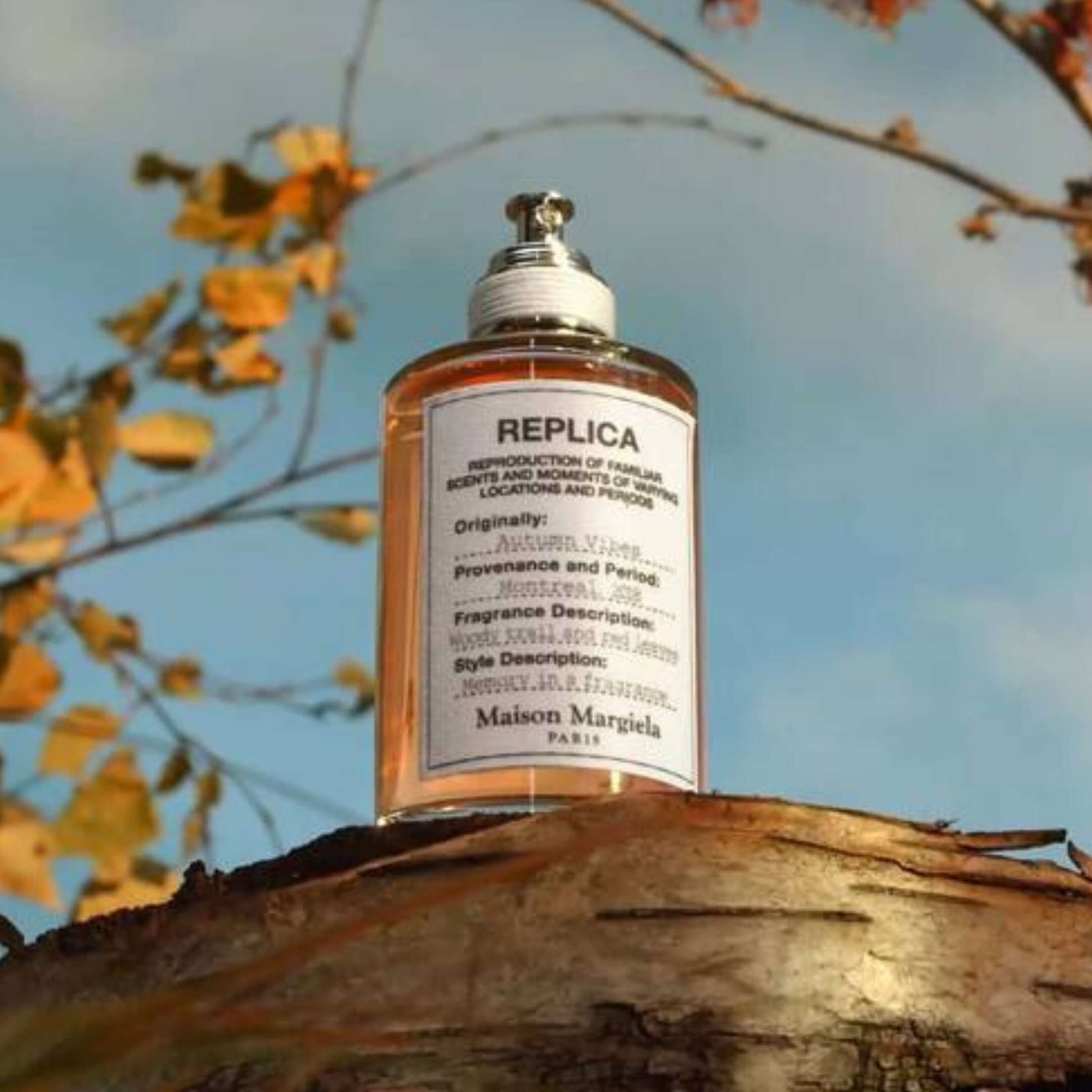 REPLICA AUTUMN VIBES EAU DE TOILETTE  6