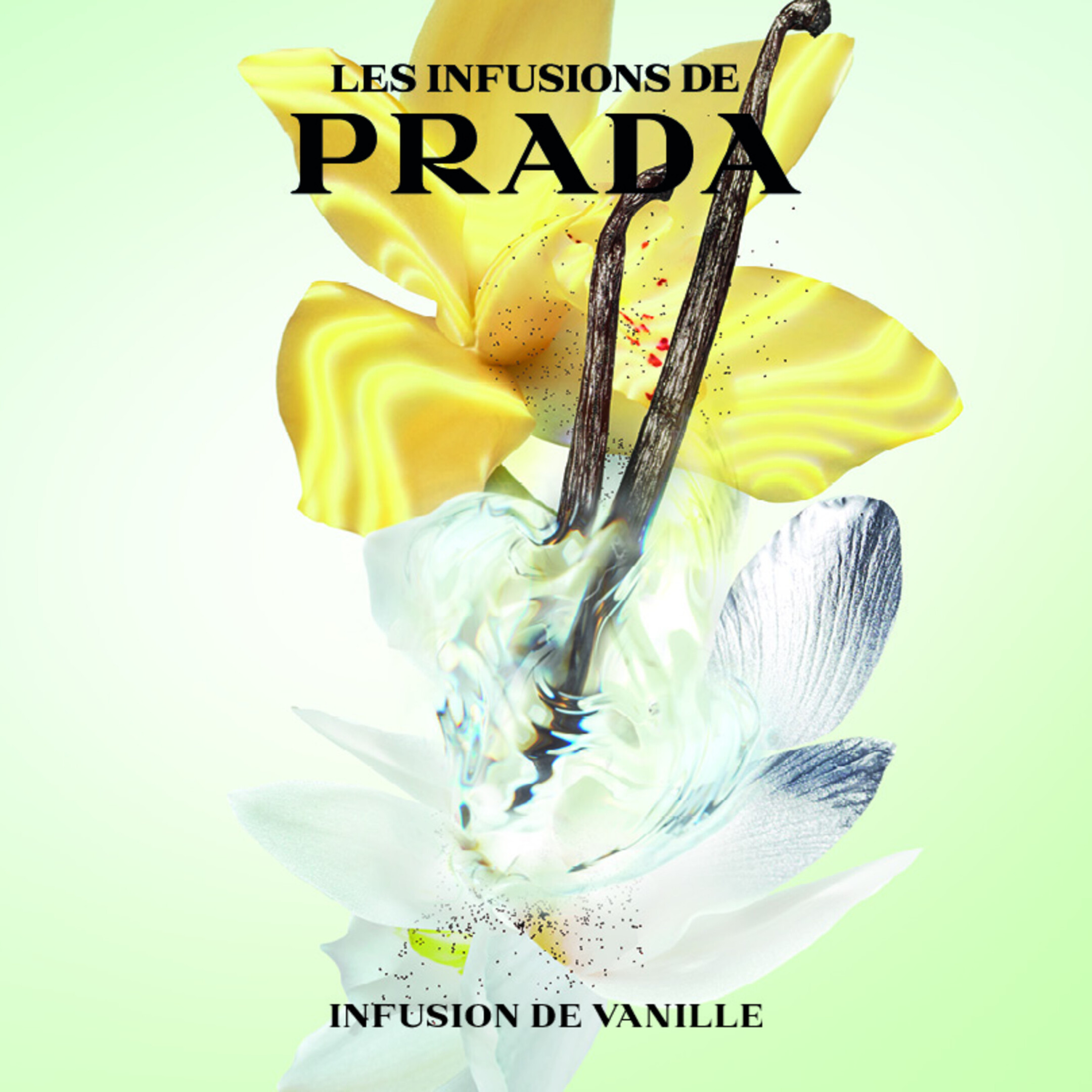 PRADA INFUSION DE VANILLE EAU DE PARFUM 3