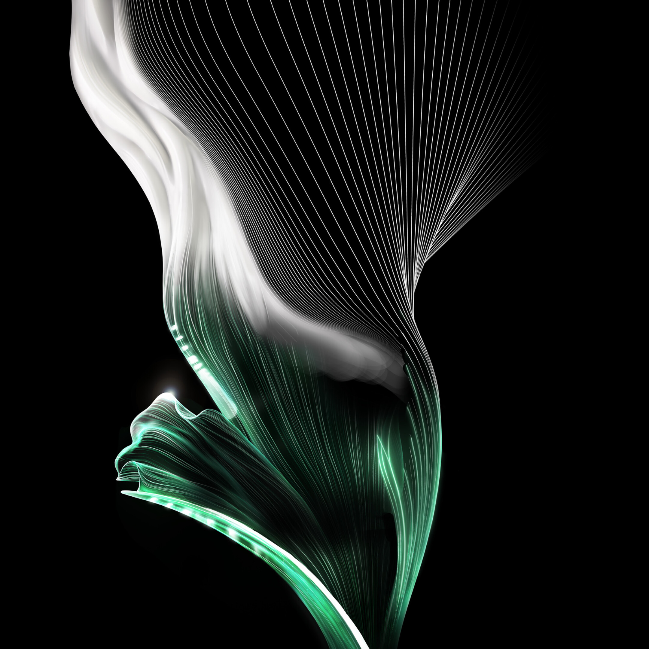 ARMANI CREMA NERA REMODELING CREAM 7