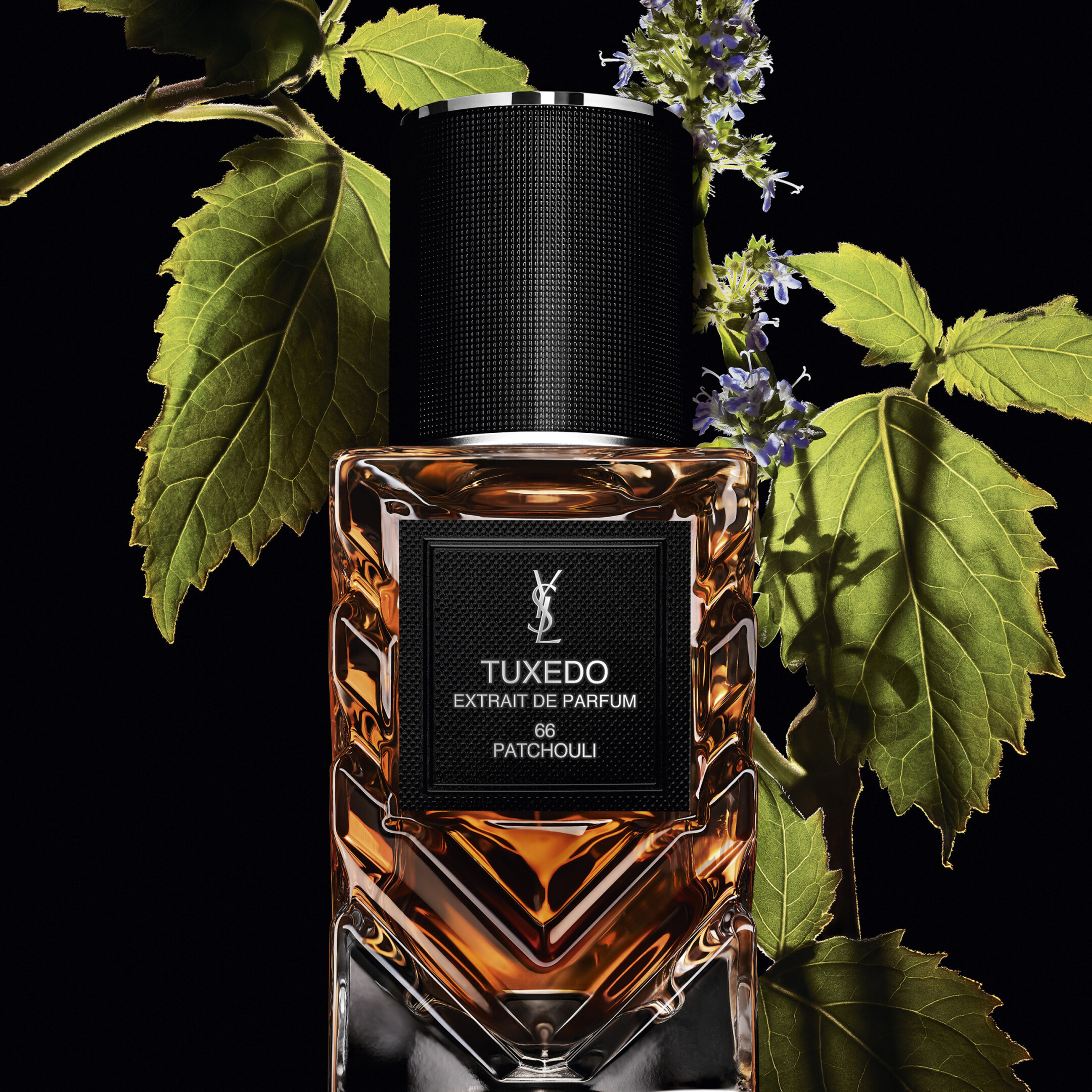 LE VESTIAIRE DES PARFUMS TUXEDO EXTRAIT DE PARFUM 66 PATCHOULI 2