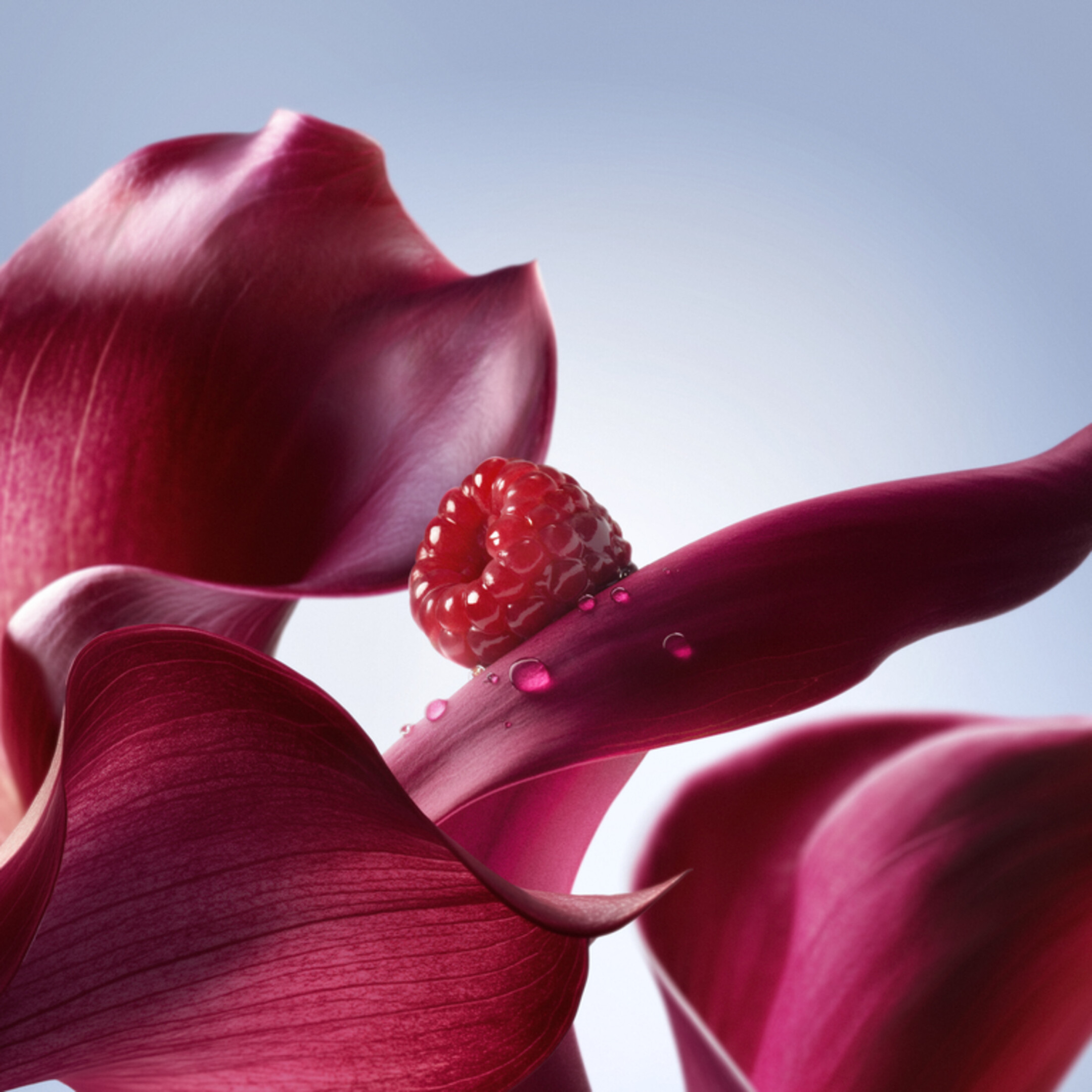 LA VIE EST BELLE L'ELIXIR HAIR & BODY MIST 2