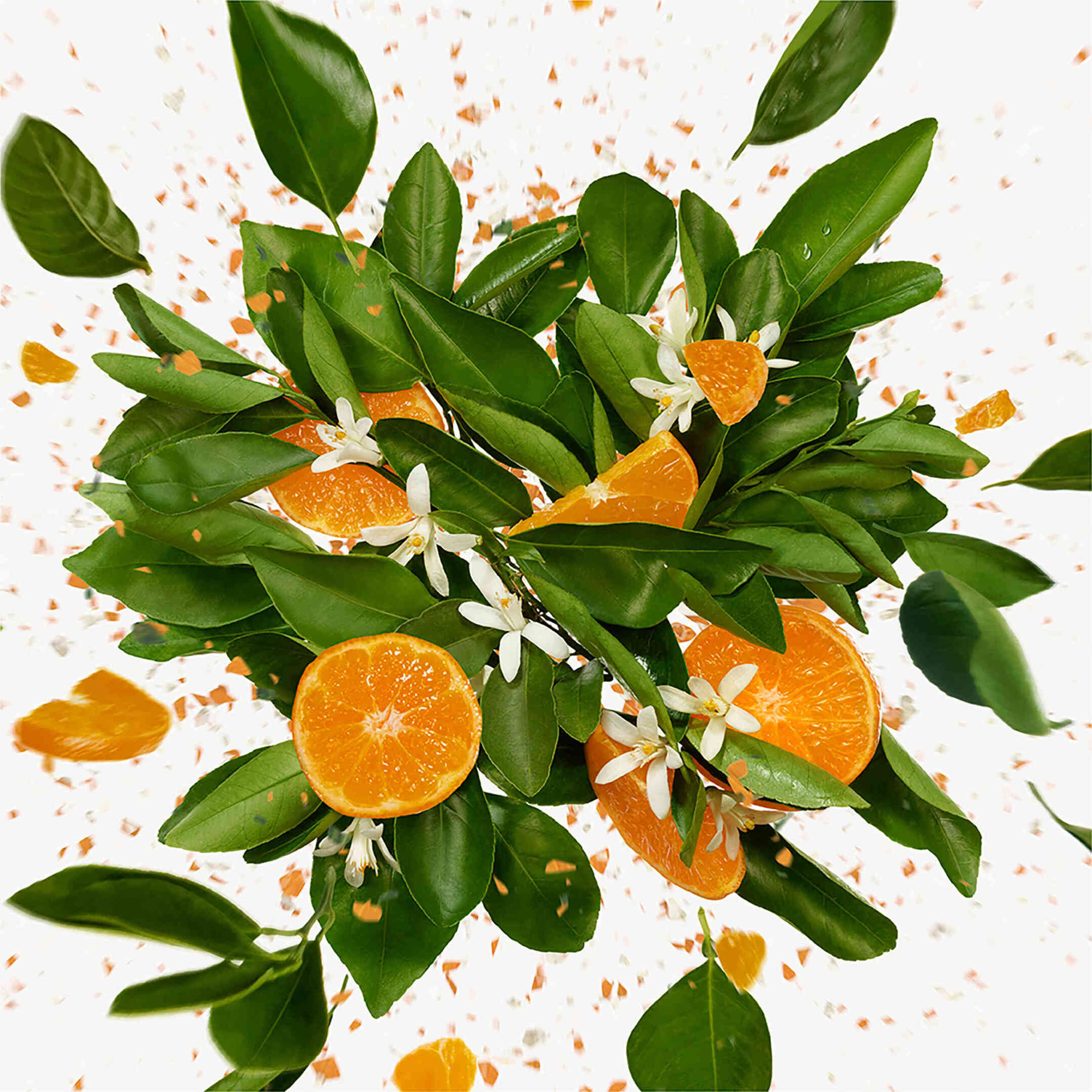 FLORA GORGEOUS JASMINE EAU DE PARFUM 5