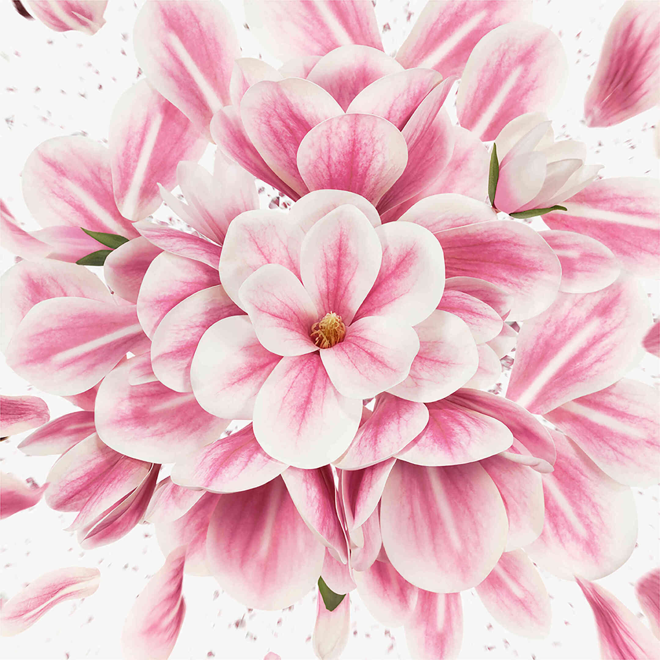 FLORA GORGEOUS MAGNOLIA EAU DE PARFUM REFILLABLE 5