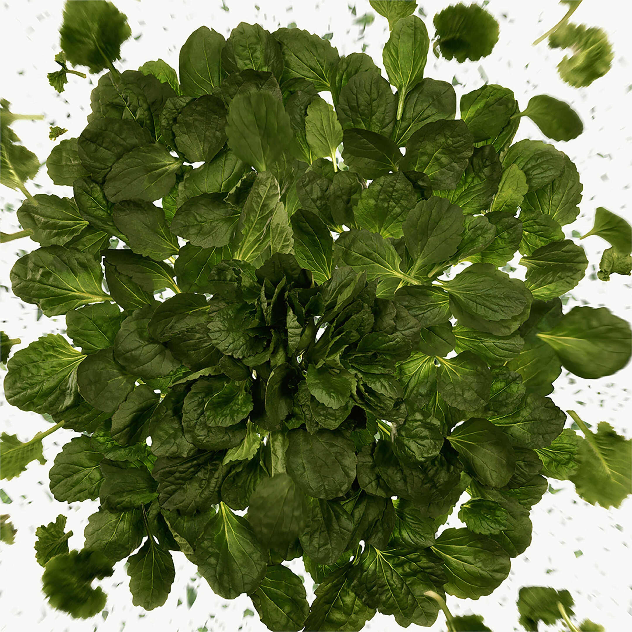 FLORA GORGEOUS MAGNOLIA EAU DE PARFUM REFILLABLE 4