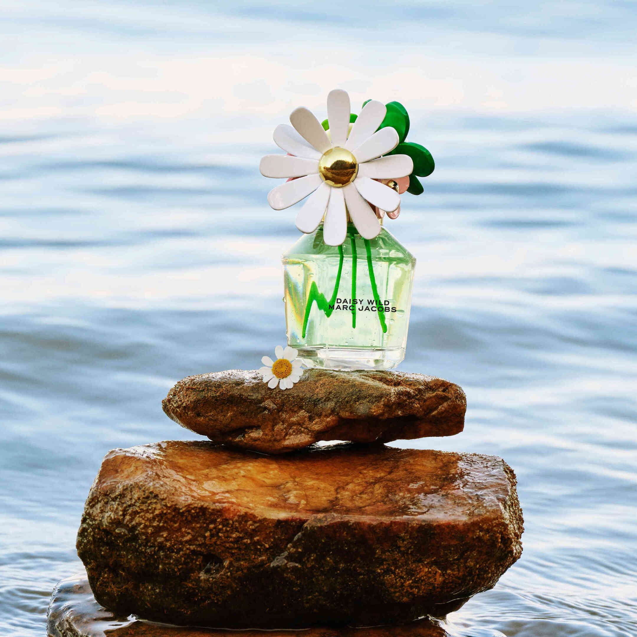 DAISY WILD EAU DE PARFUM REFILLABLE 2