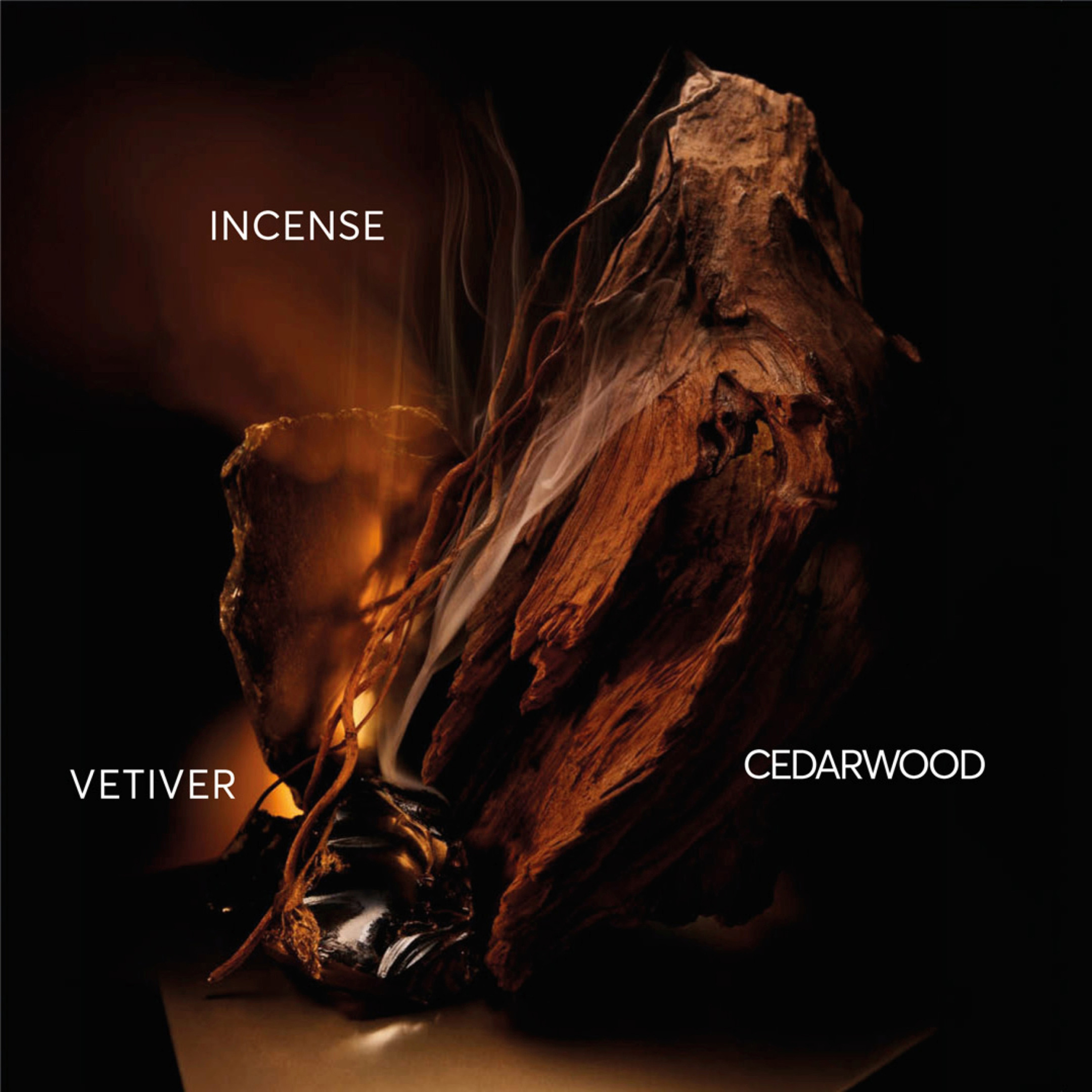 HUGO BOSS BOTTLED ELIXIR PARFUM 3