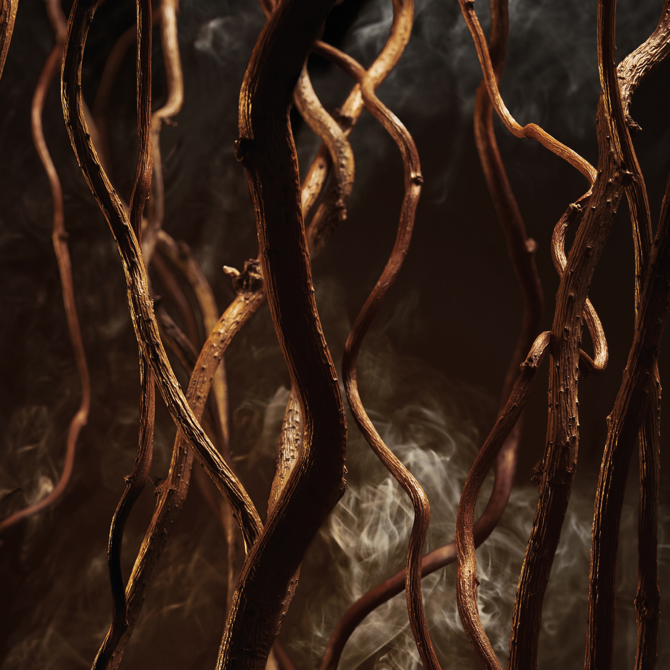 HUGO BOSS BOTTLED ELIXIR PARFUM 5