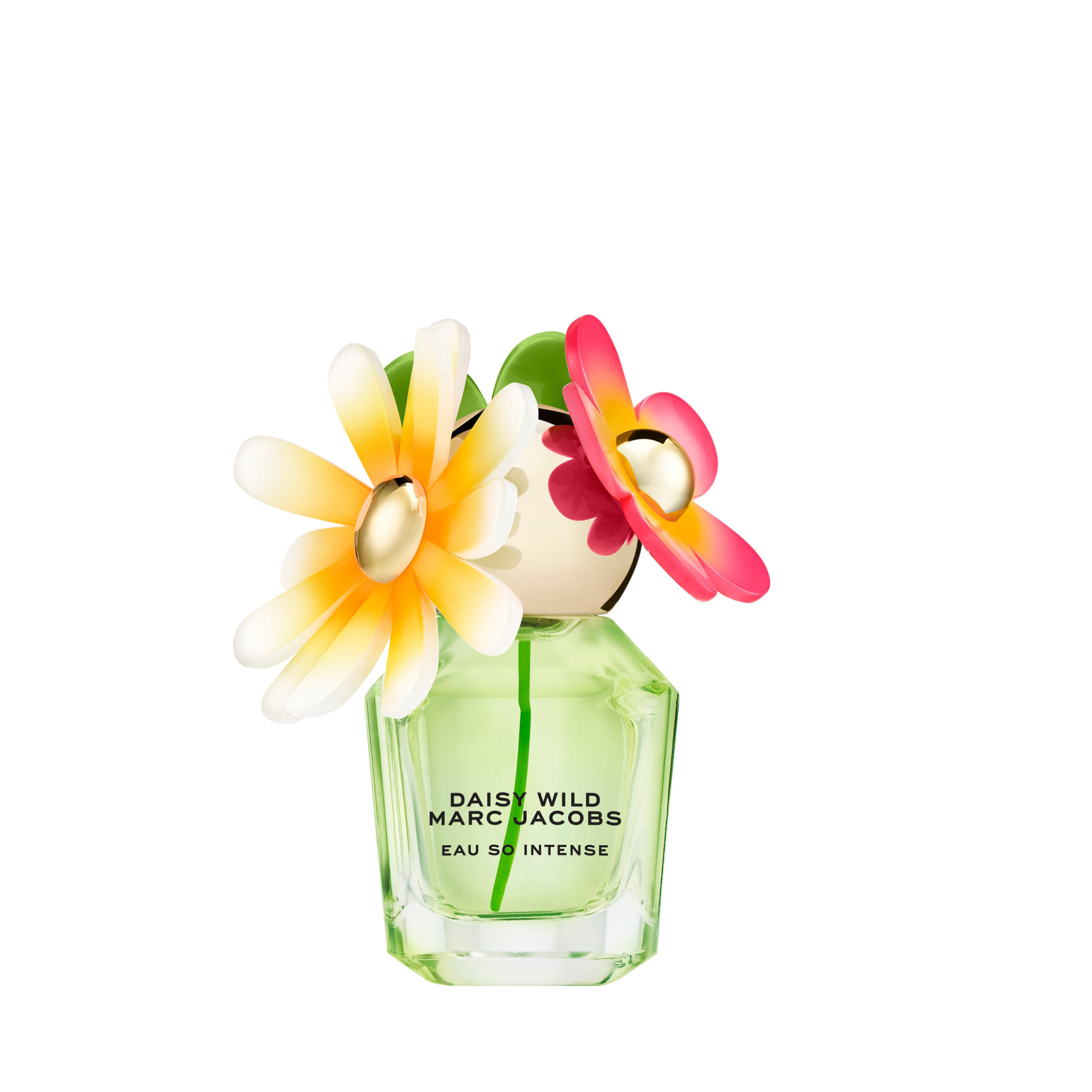 DAISY WILD EAU SO INTENSE EAU DE PARFUM 0