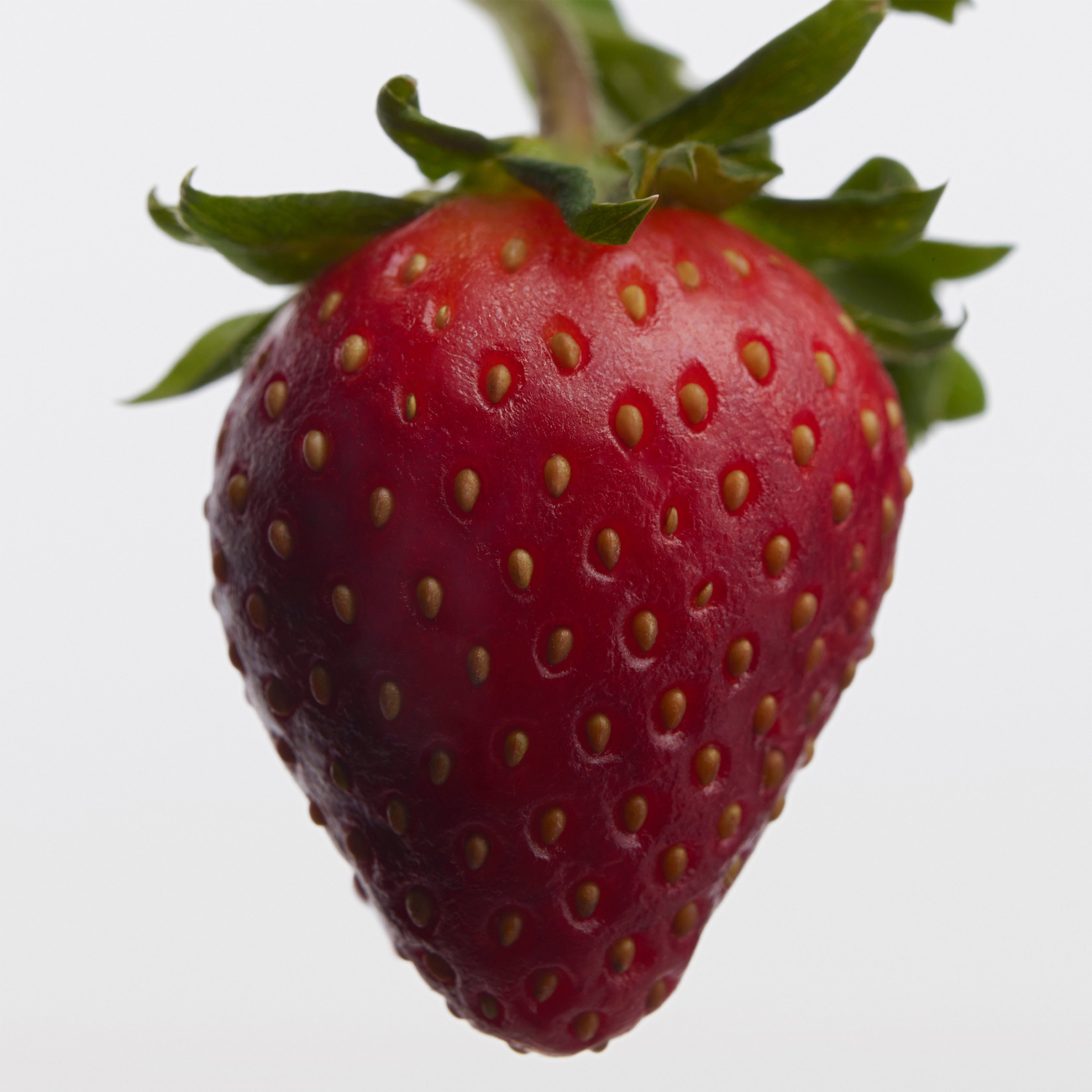 BURBERRY HER EAU DE PARFUM INTENSE 4