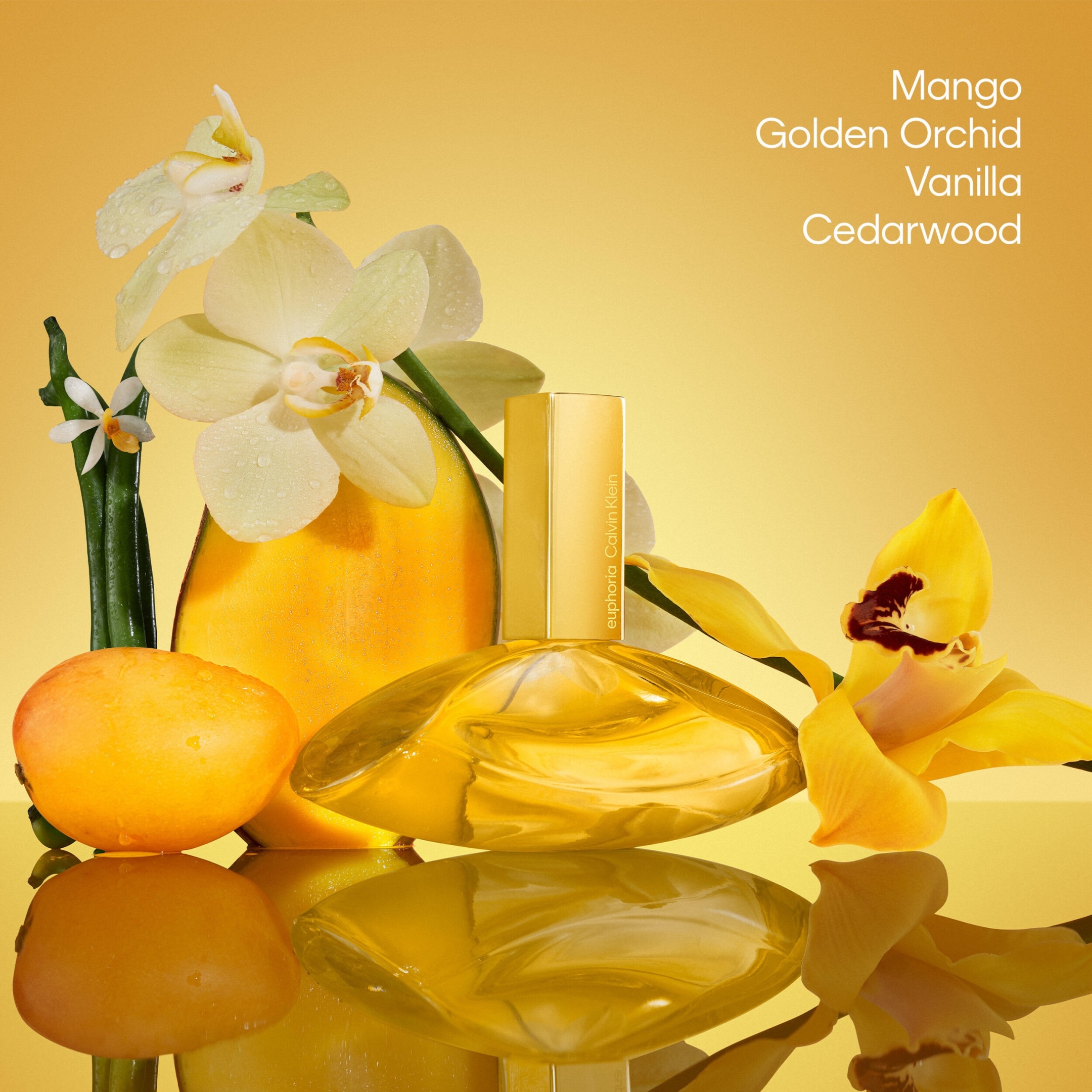 EUPHORIA SOLAR ELIXIR PARFUM INTENSE FOR WOMEN 2