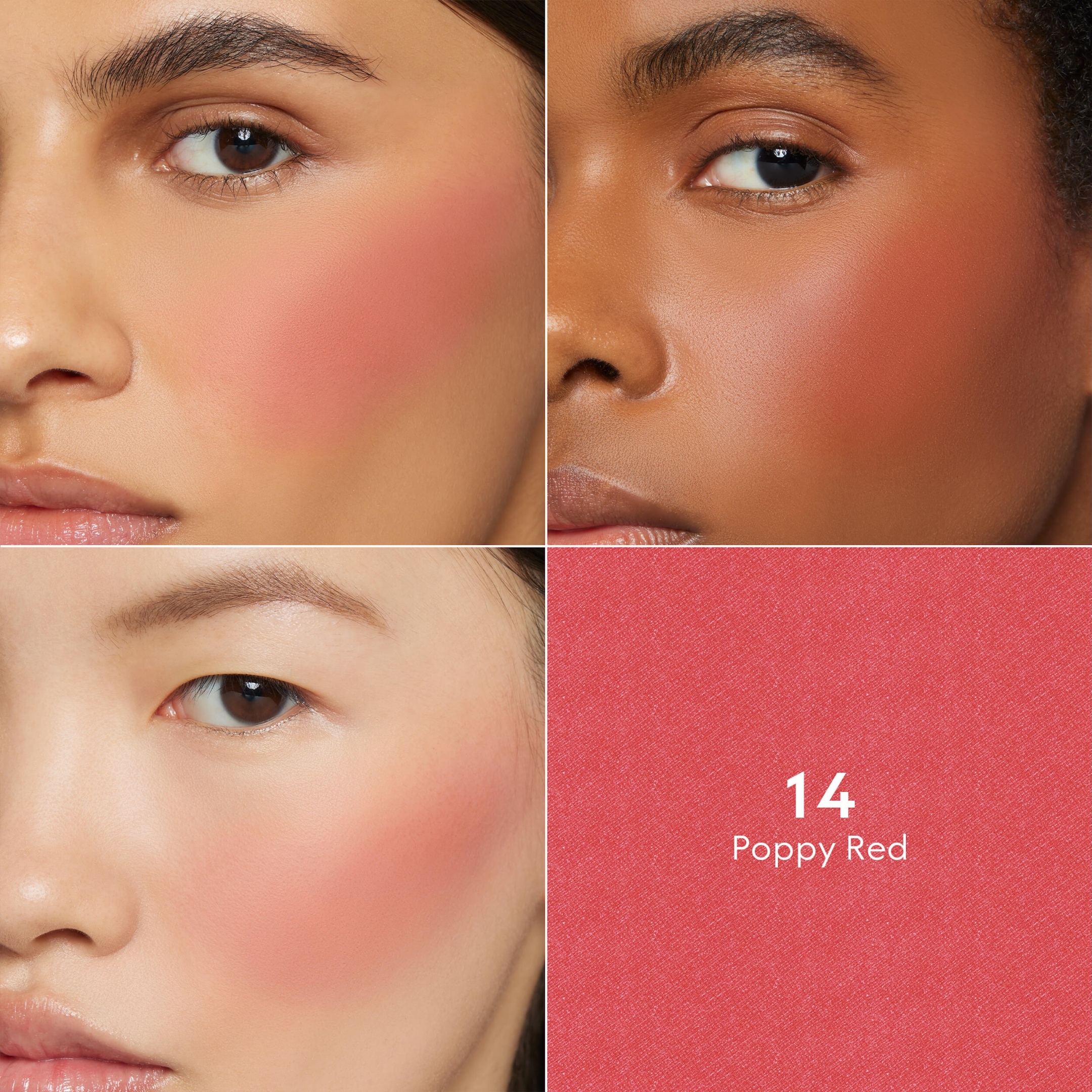 BLUSH DE BEAUTÉ LIMITED EDITION 3