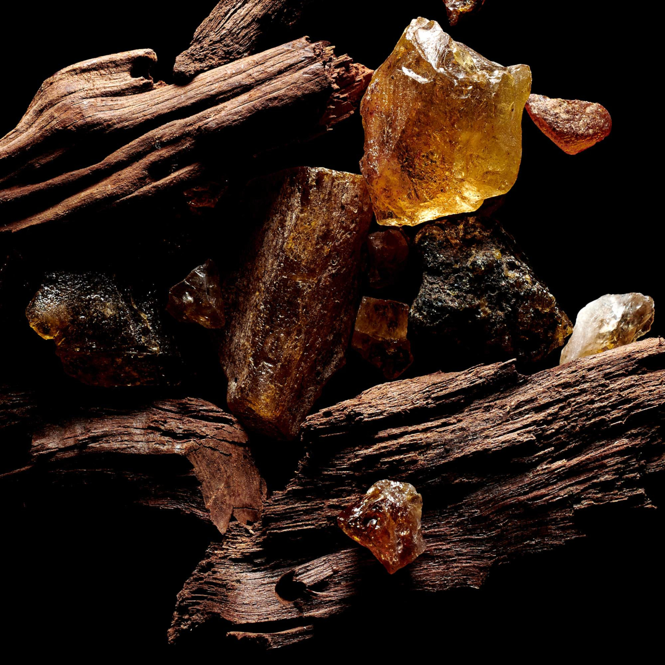 SACRED WOOD 1