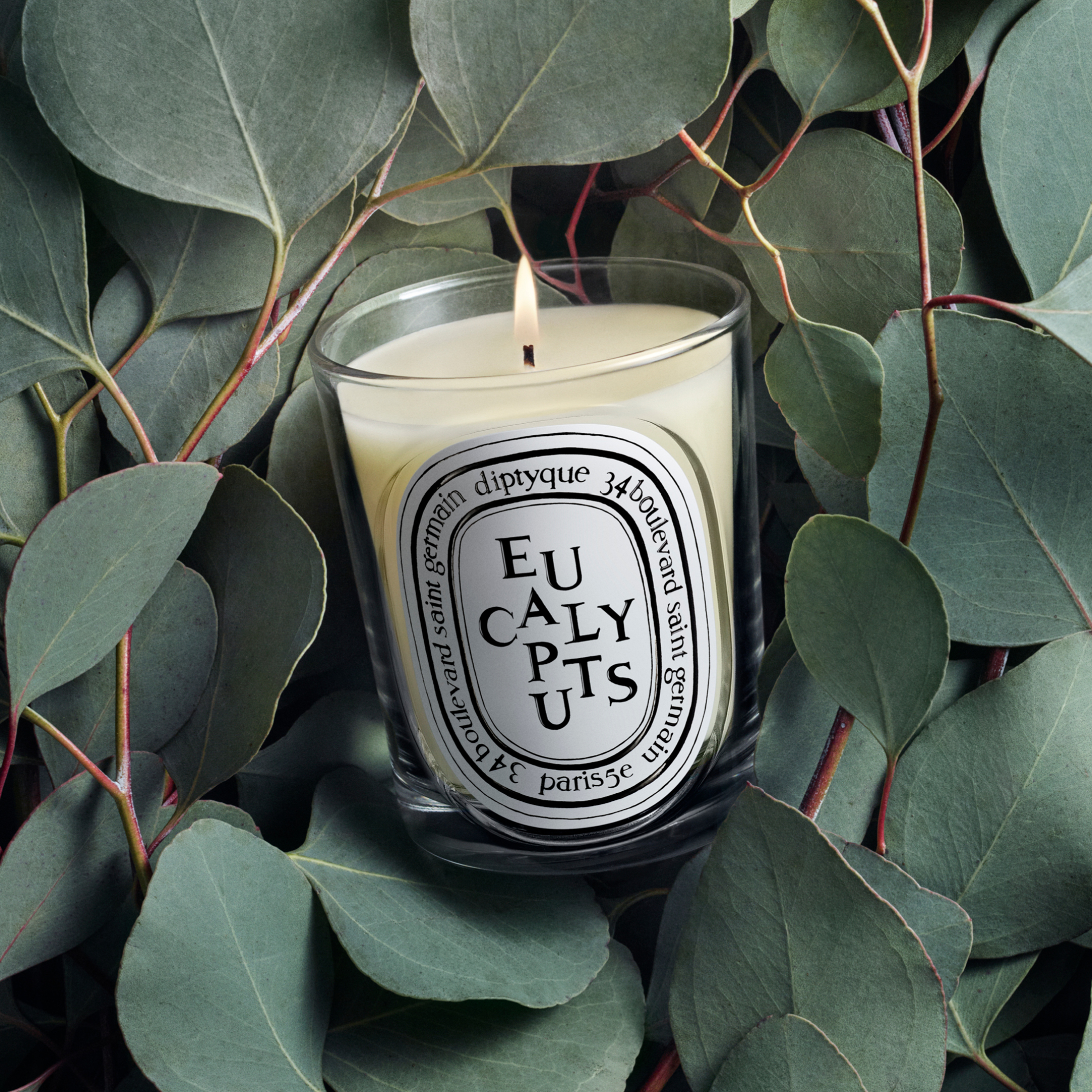 EUCALYPTUS SCENTED CANDLE 1