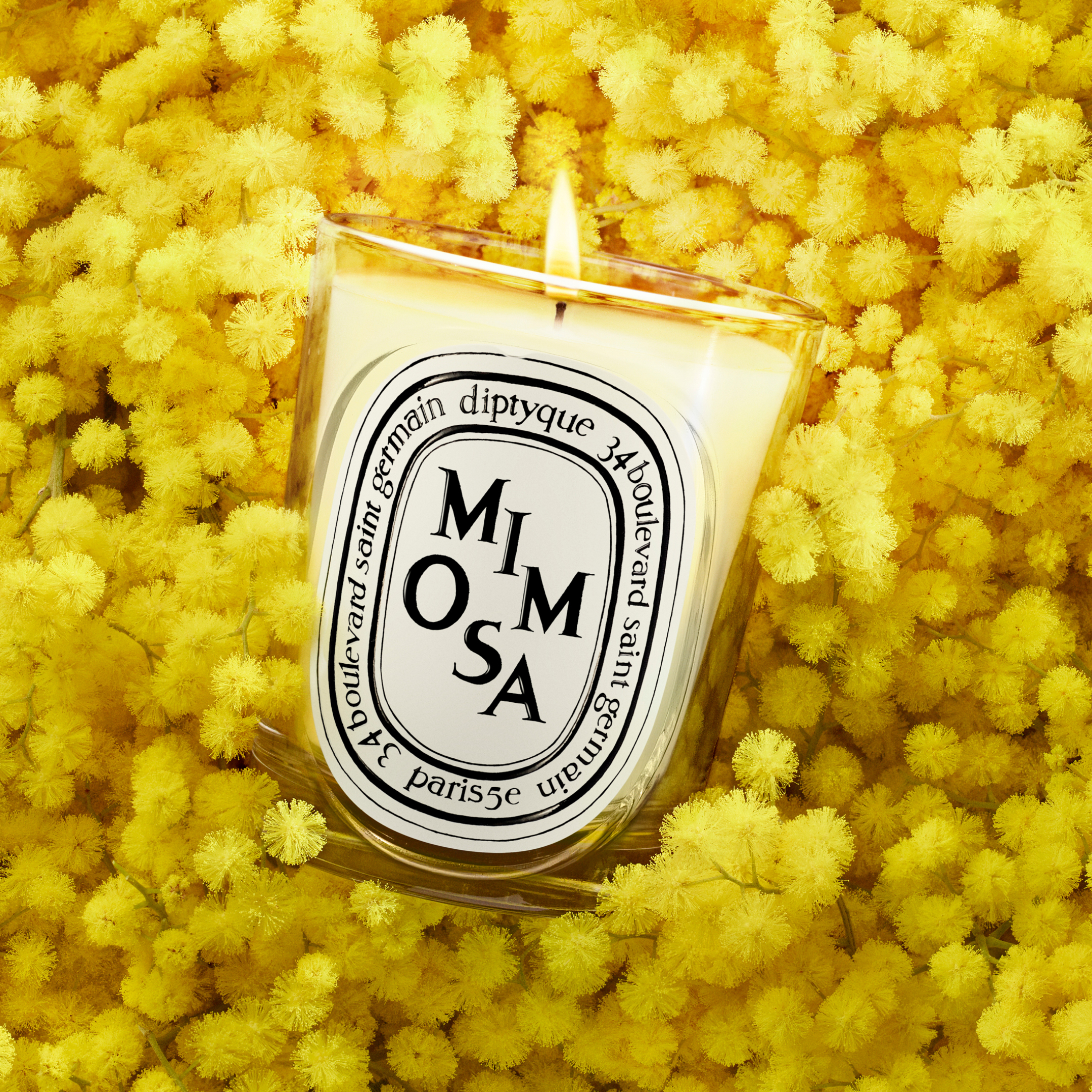 MIMOSA SCENTED CANDLE 1