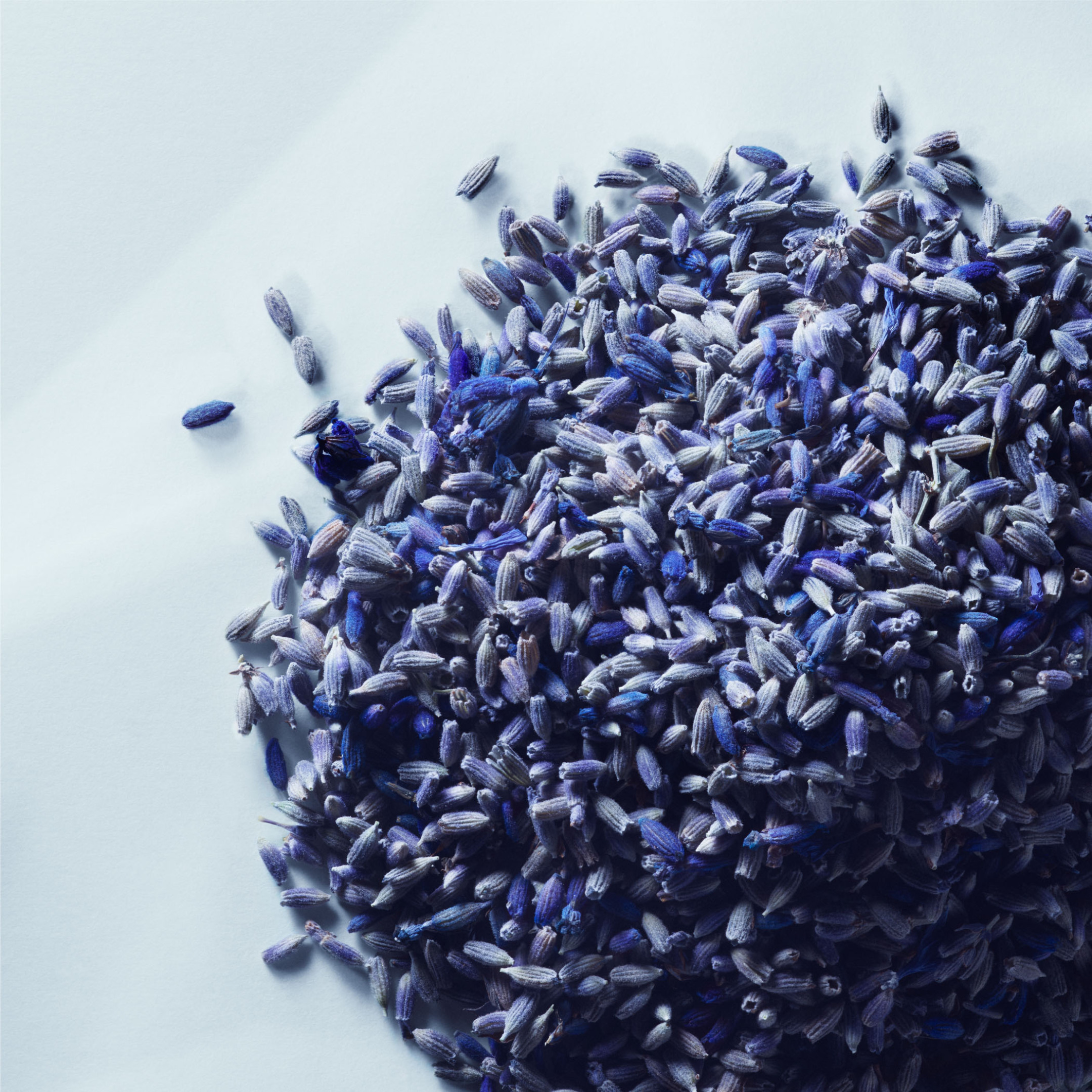 METAL LAVENDER EAU DE PARFUM 4