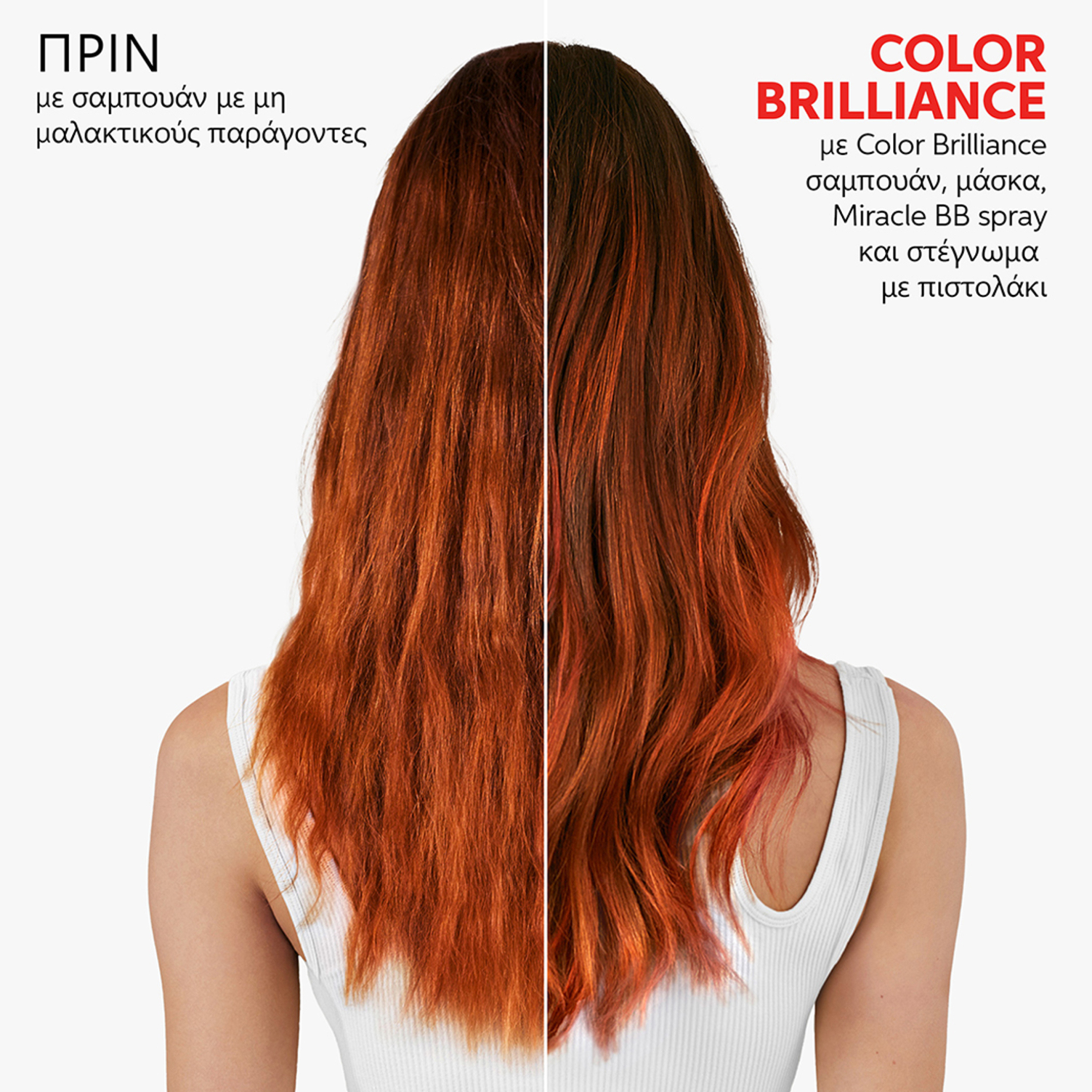 INVIGO COLOR BRILLIANCE ΣΑΜΠΟΥΑΝ FINE  4