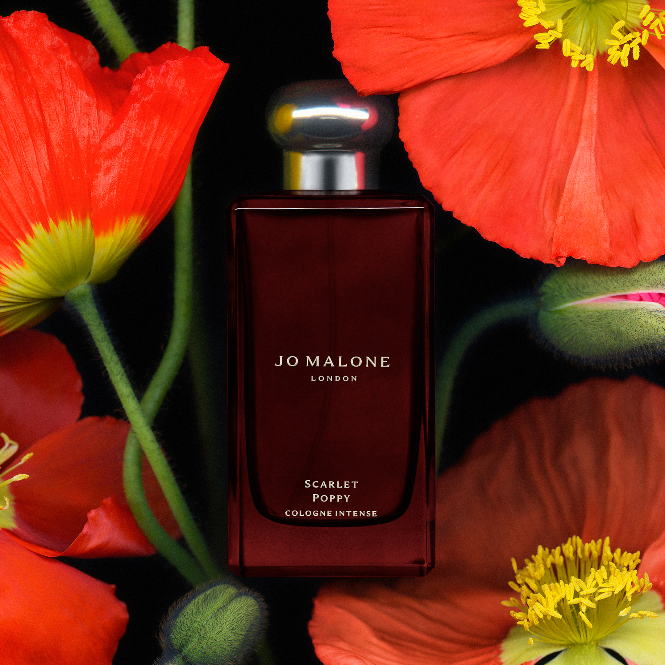 SCARLET POPPY COLOGNE INTENSE 2