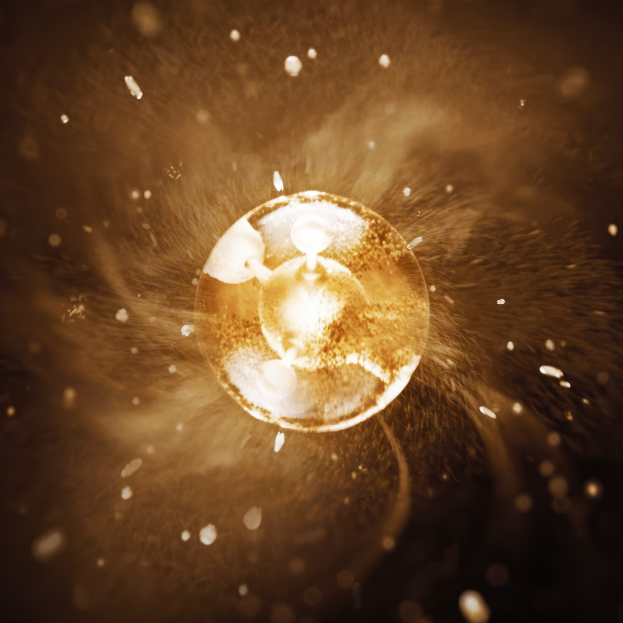 PURE GOLD RADIANCE CREAM REFILL 1