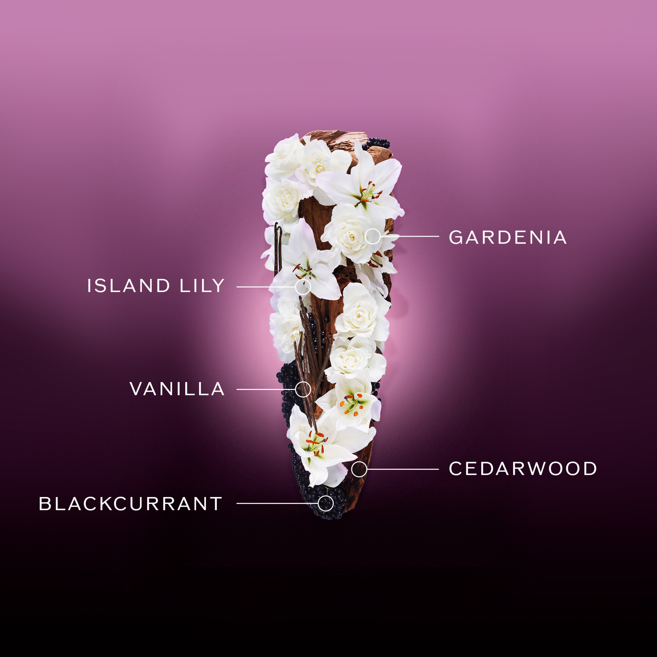 GINZA NIGHT EAU DE PARFUM INTENSE 3