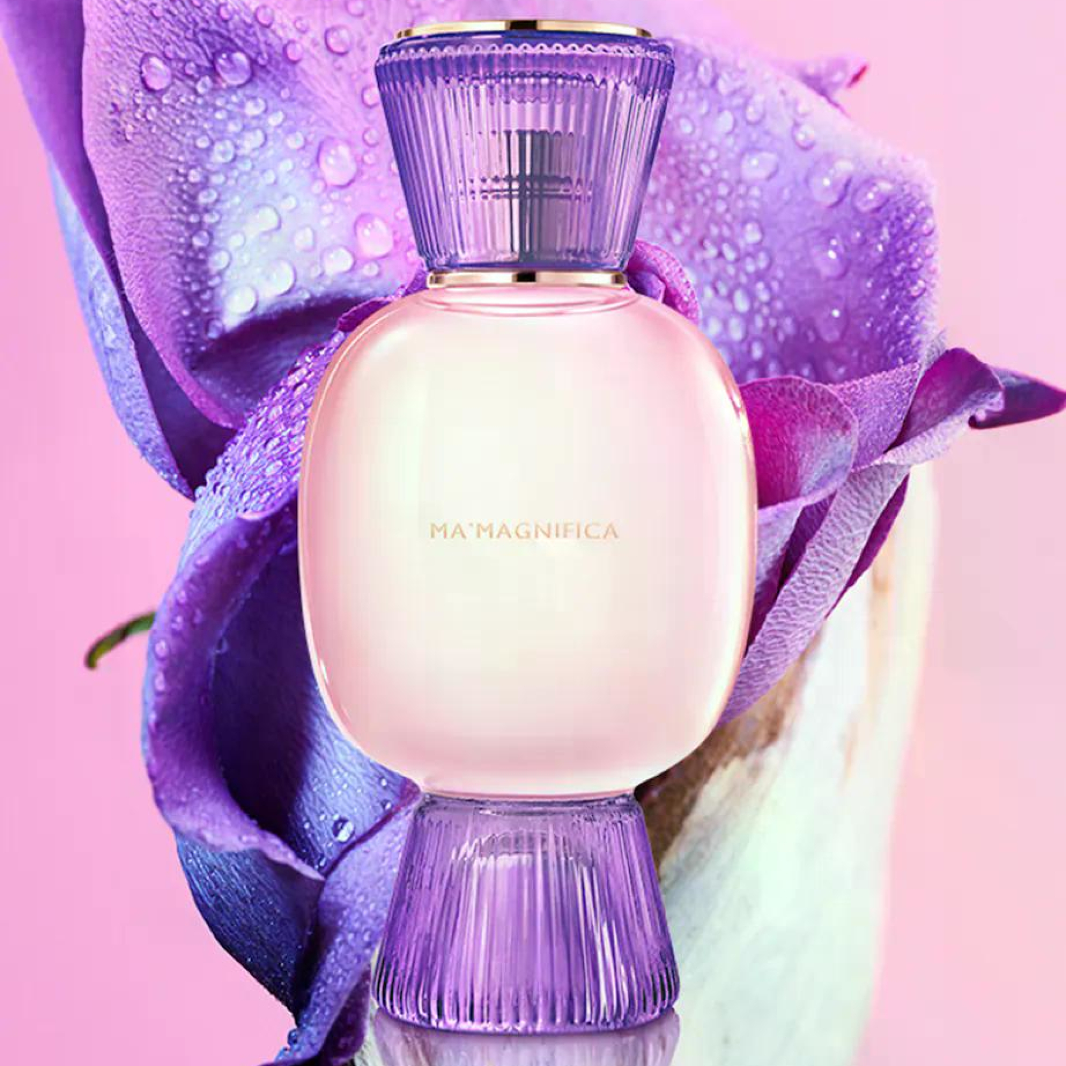 BVLGARI ALLEGRA MA'MAGNIFICA EAU DE PARFUM 4