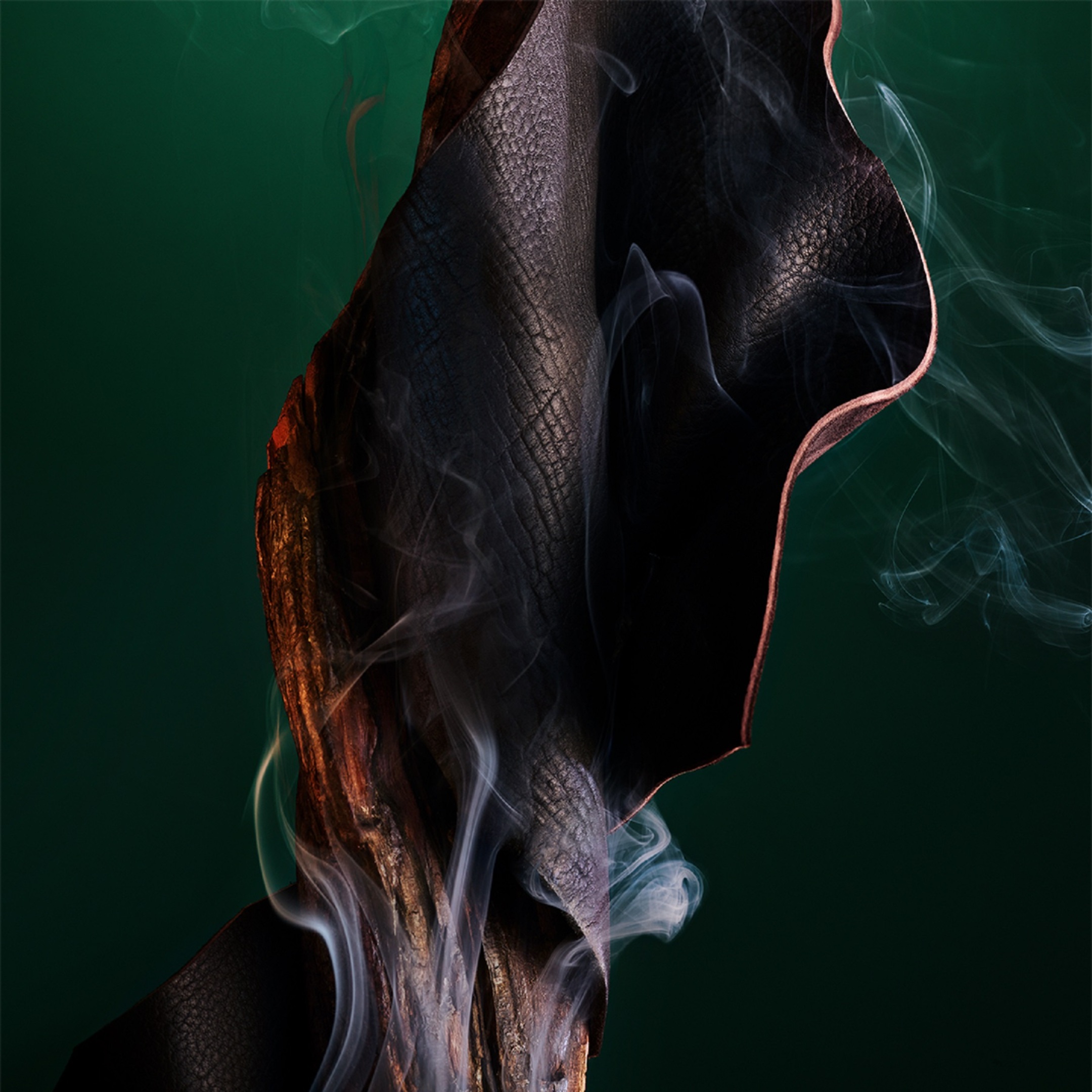 BVLGARI LE GEMME FALKAR EAU DE PARFUM 1