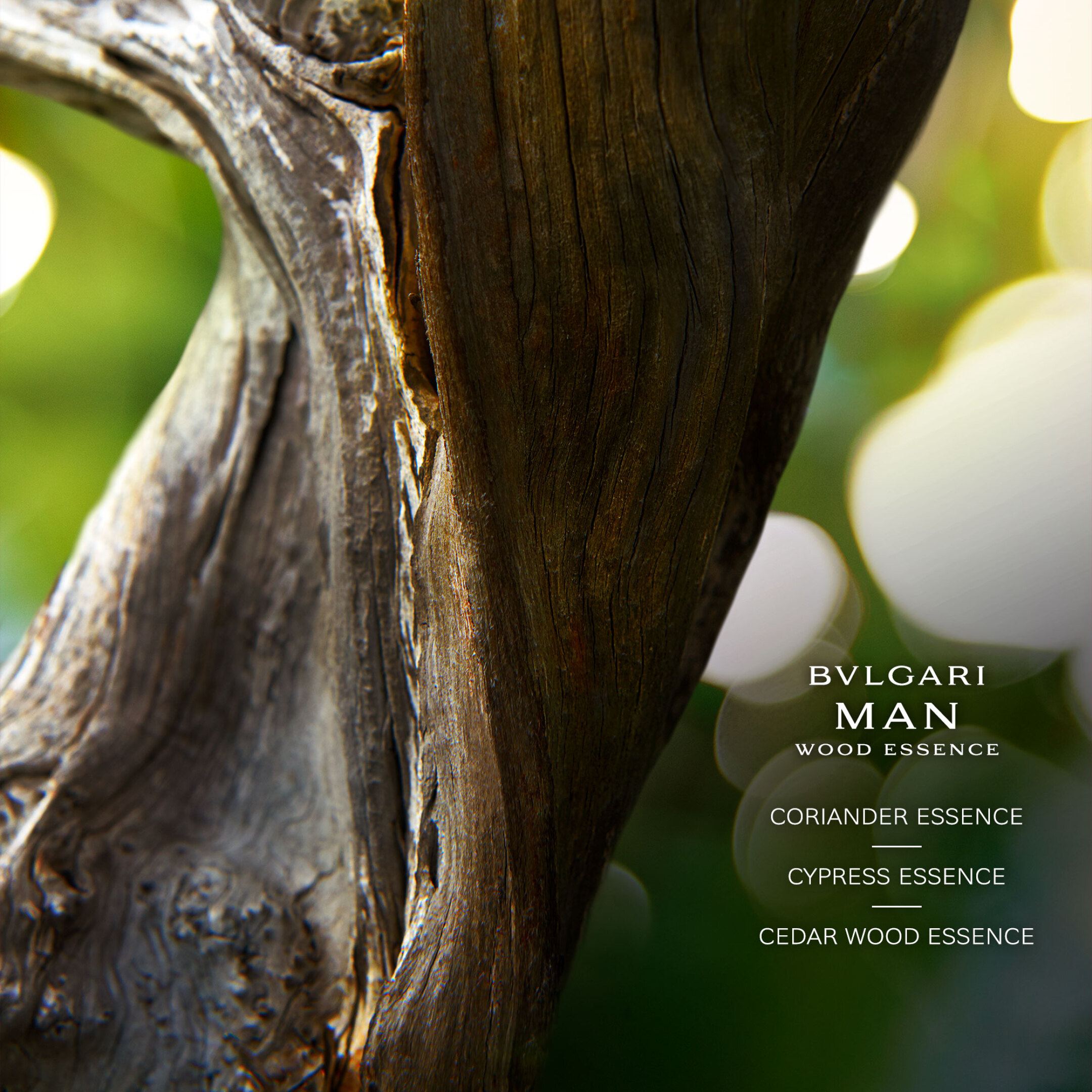 MAN WOOD ESSENCE EAU DE PARFUM REFILLABLE 2