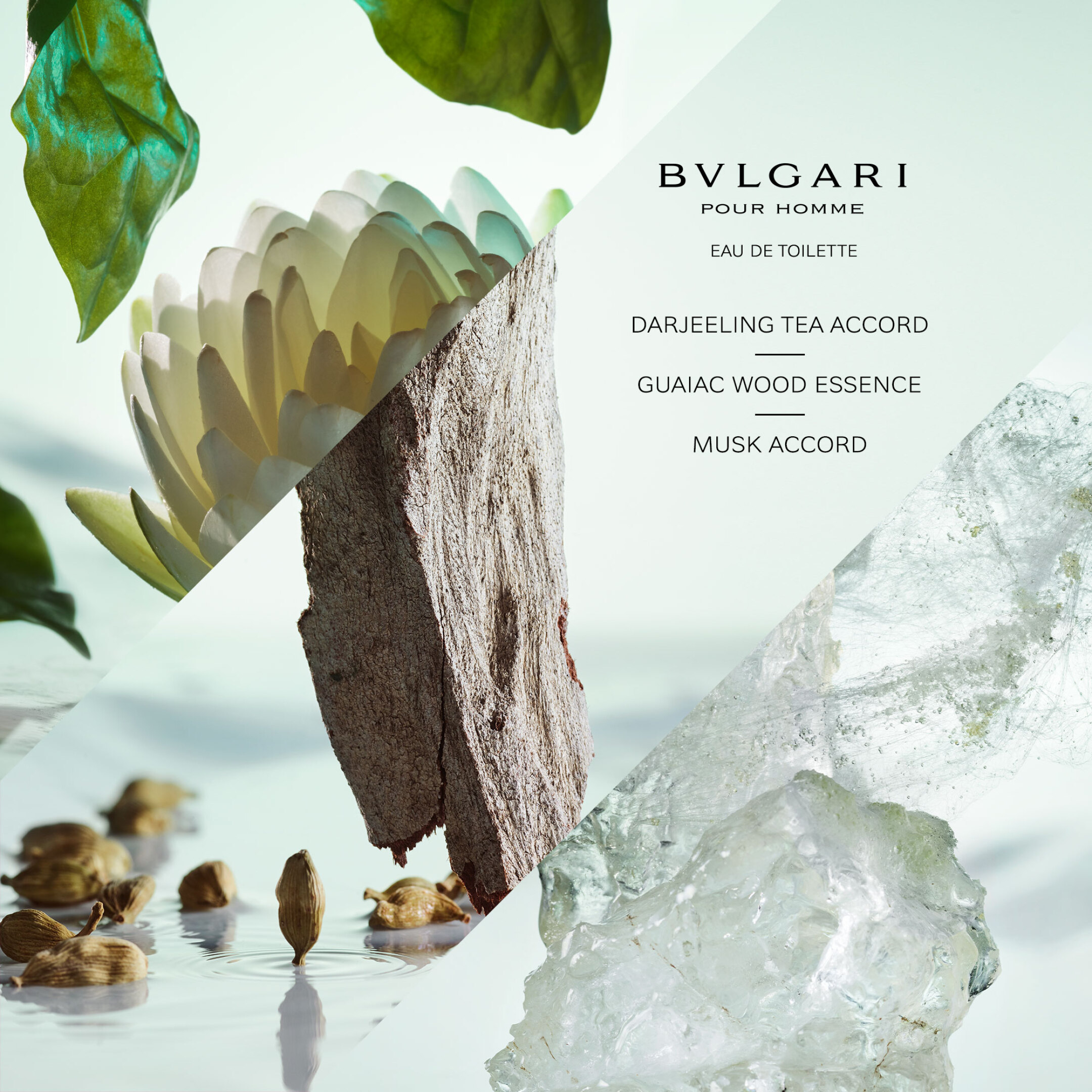 BVLGARI POUR HOMME EAU DE PARFUM 2