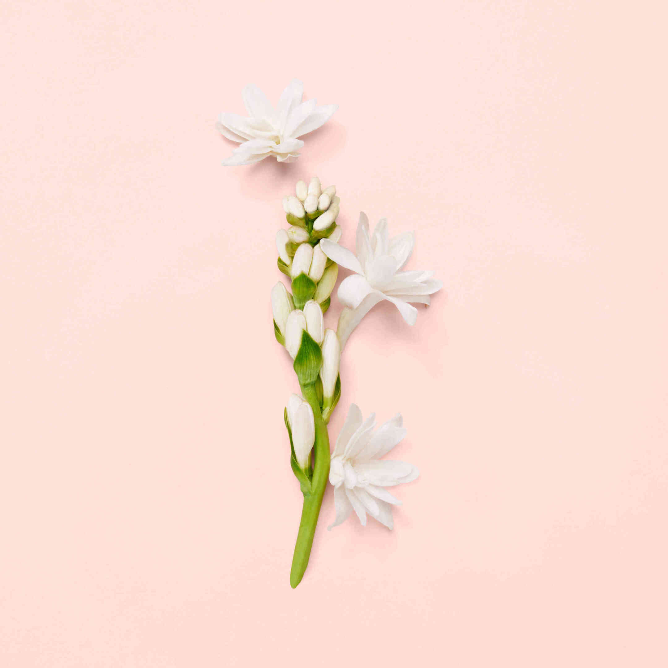 GUCCI BLOOM EAU DE PARFUM 5