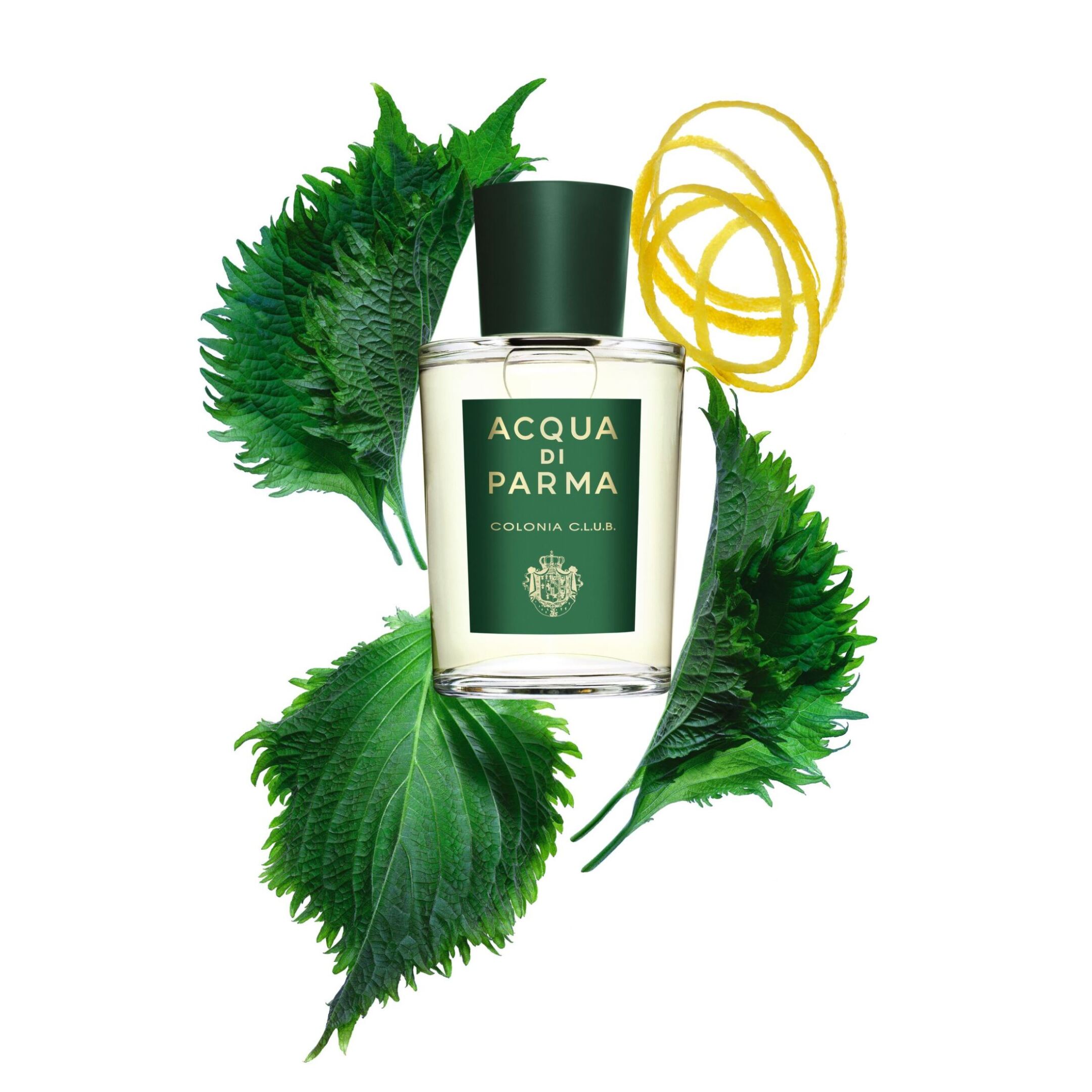 COLONIA C.L.U.B. EAU DE COLOGNE 2