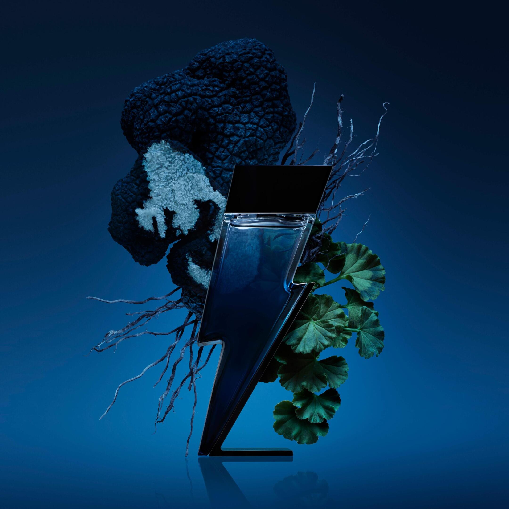 BAD BOY COBALT EAU DE PARFUM 2