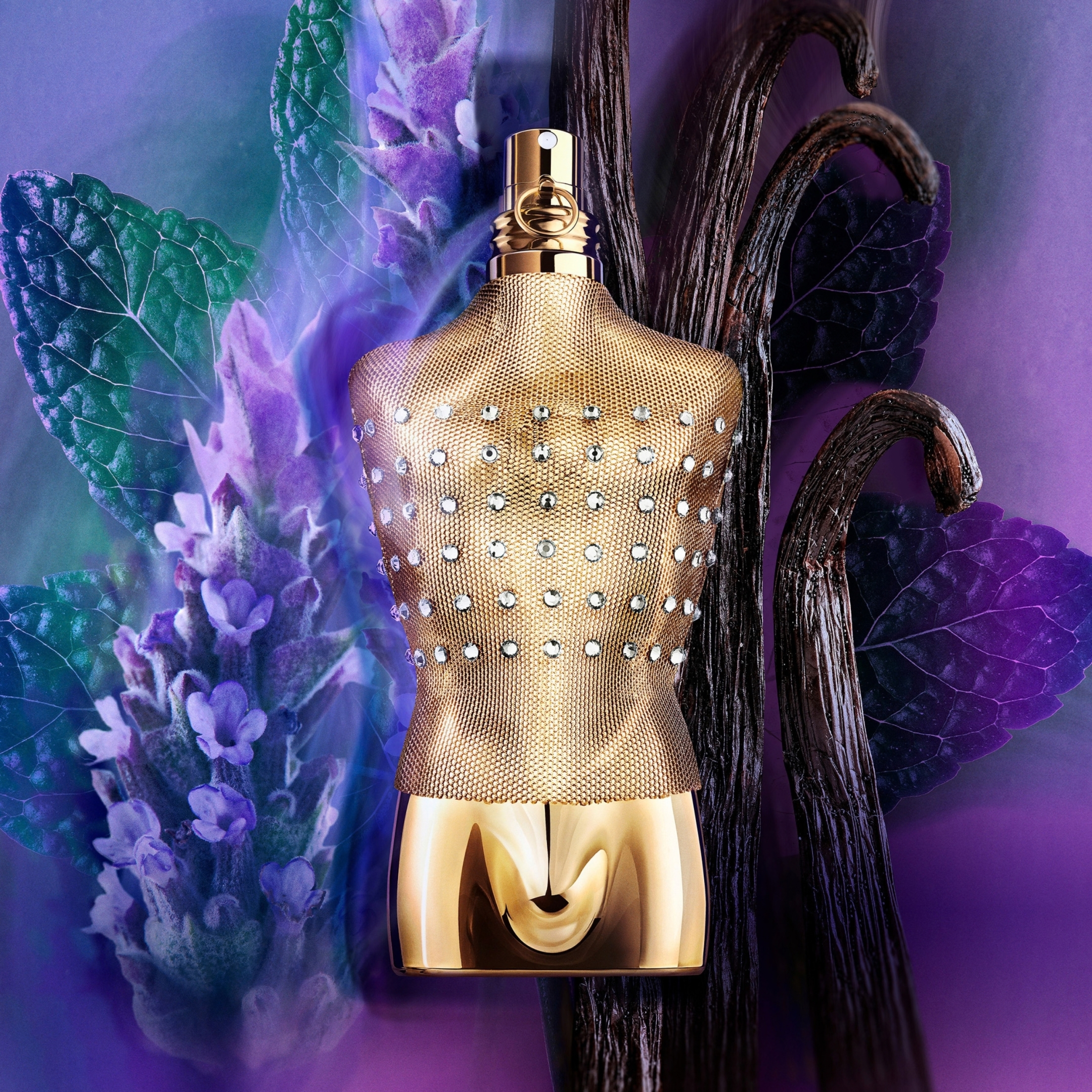 LE MALE EAU DE TOILLETE 2
